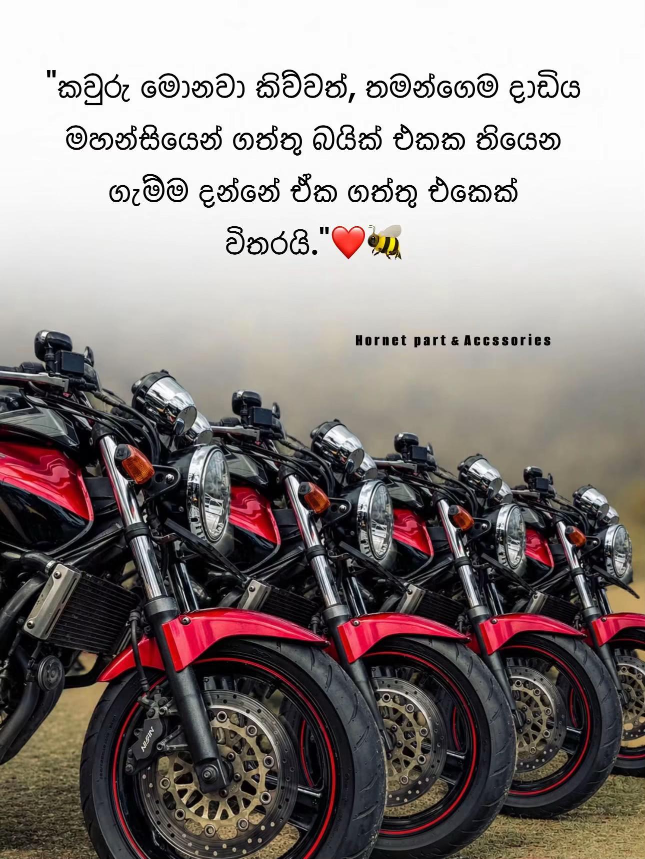 @Sumith madusanka💙🪽🫶