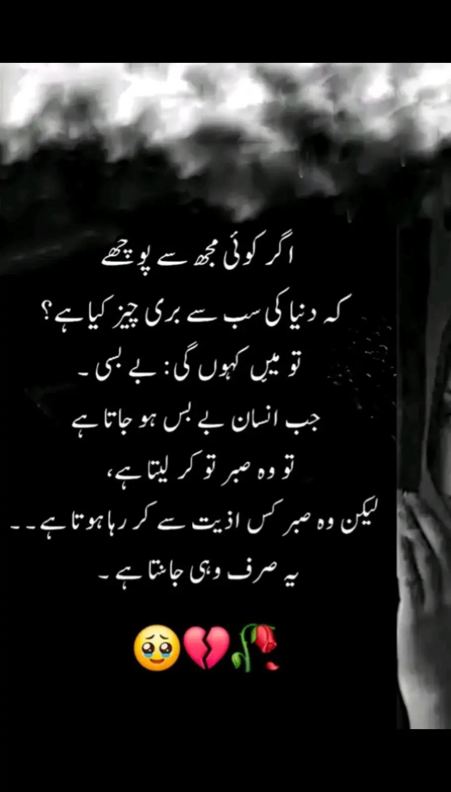 @Feroza Yameen