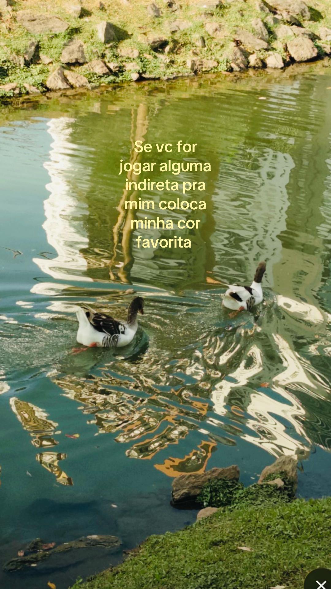 @𝔑𝔦𝔠𝔬𝔩𝔢