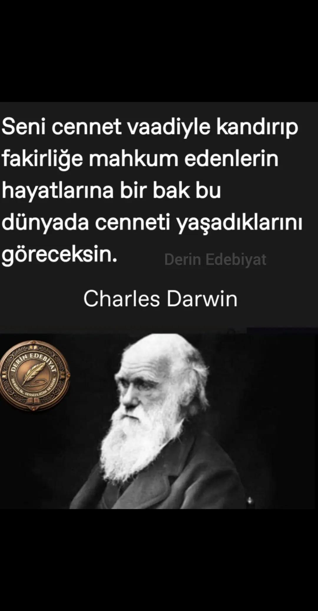 @Derin Edebiyat