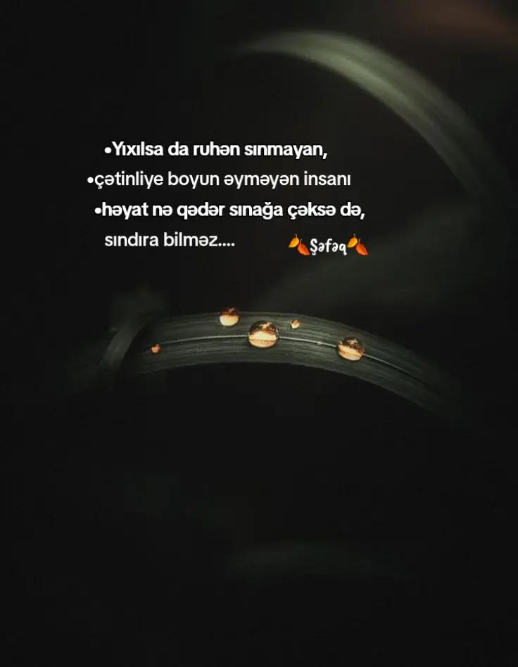 @🍂ŞƏFƏQ🍂