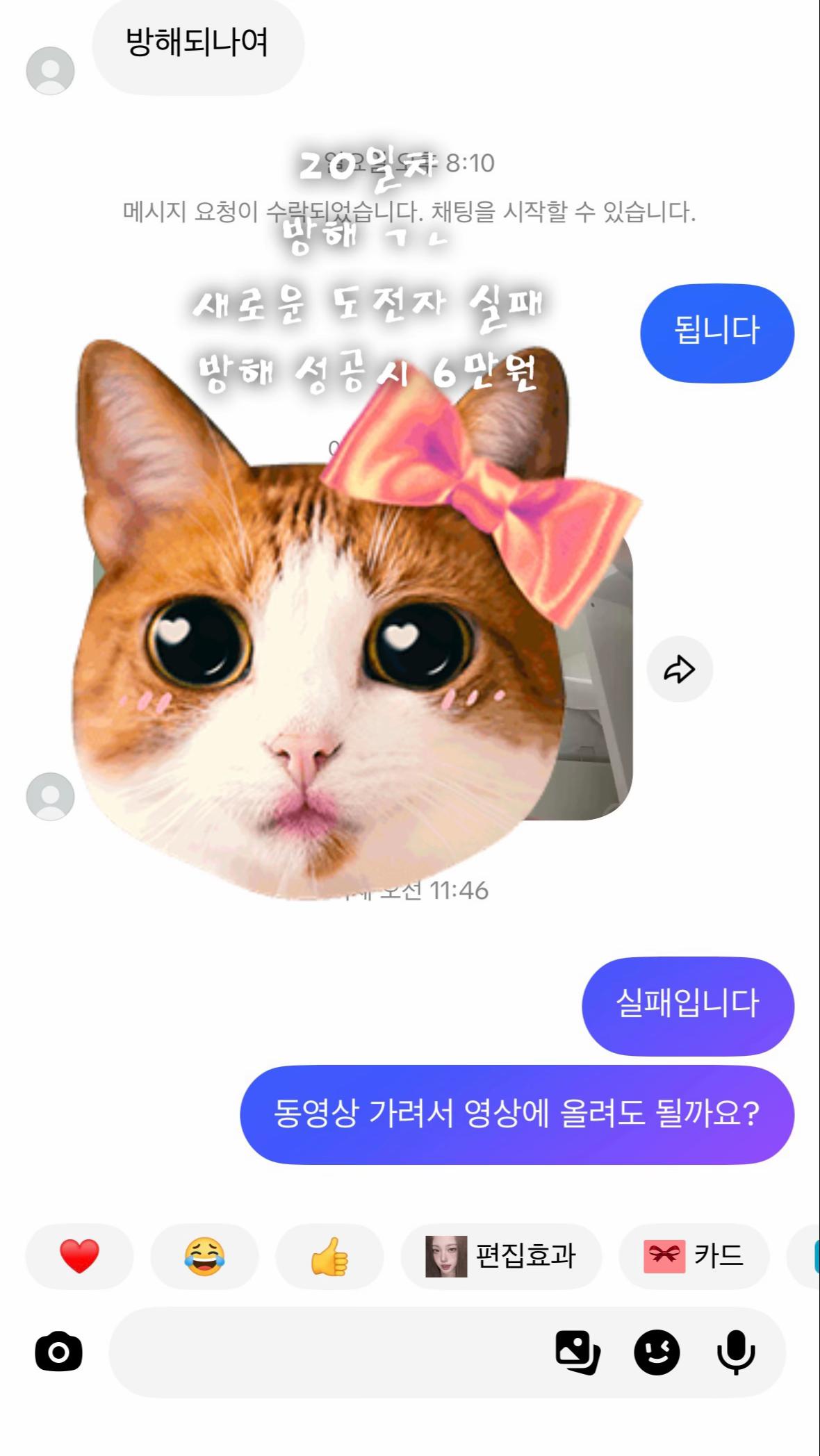 @금딸