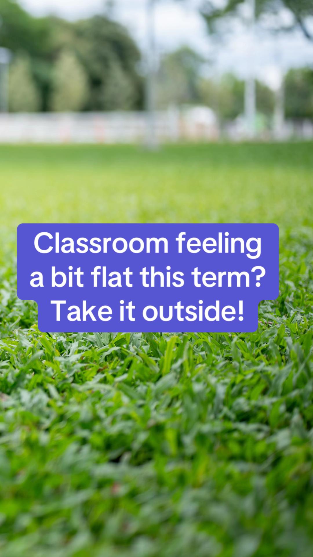 @Primary teaching services