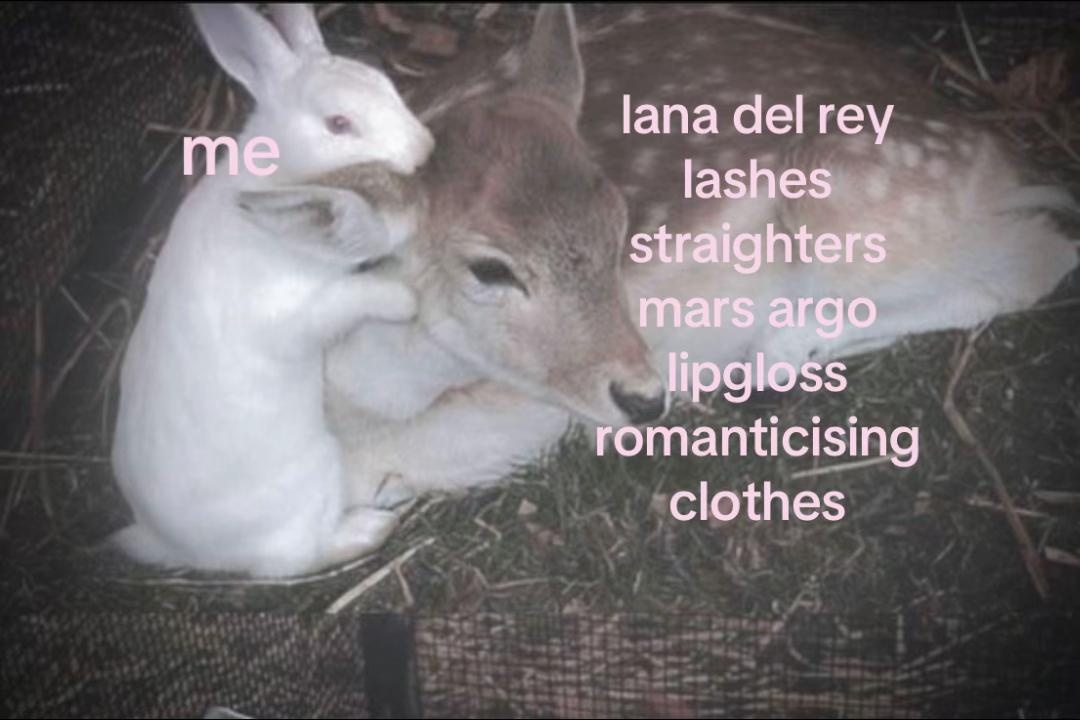 @madz♡
