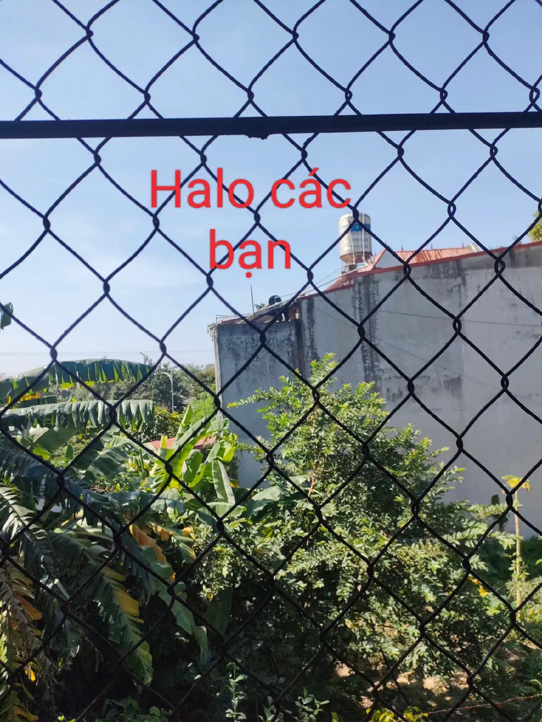 @HotlineThích🐿️🫙