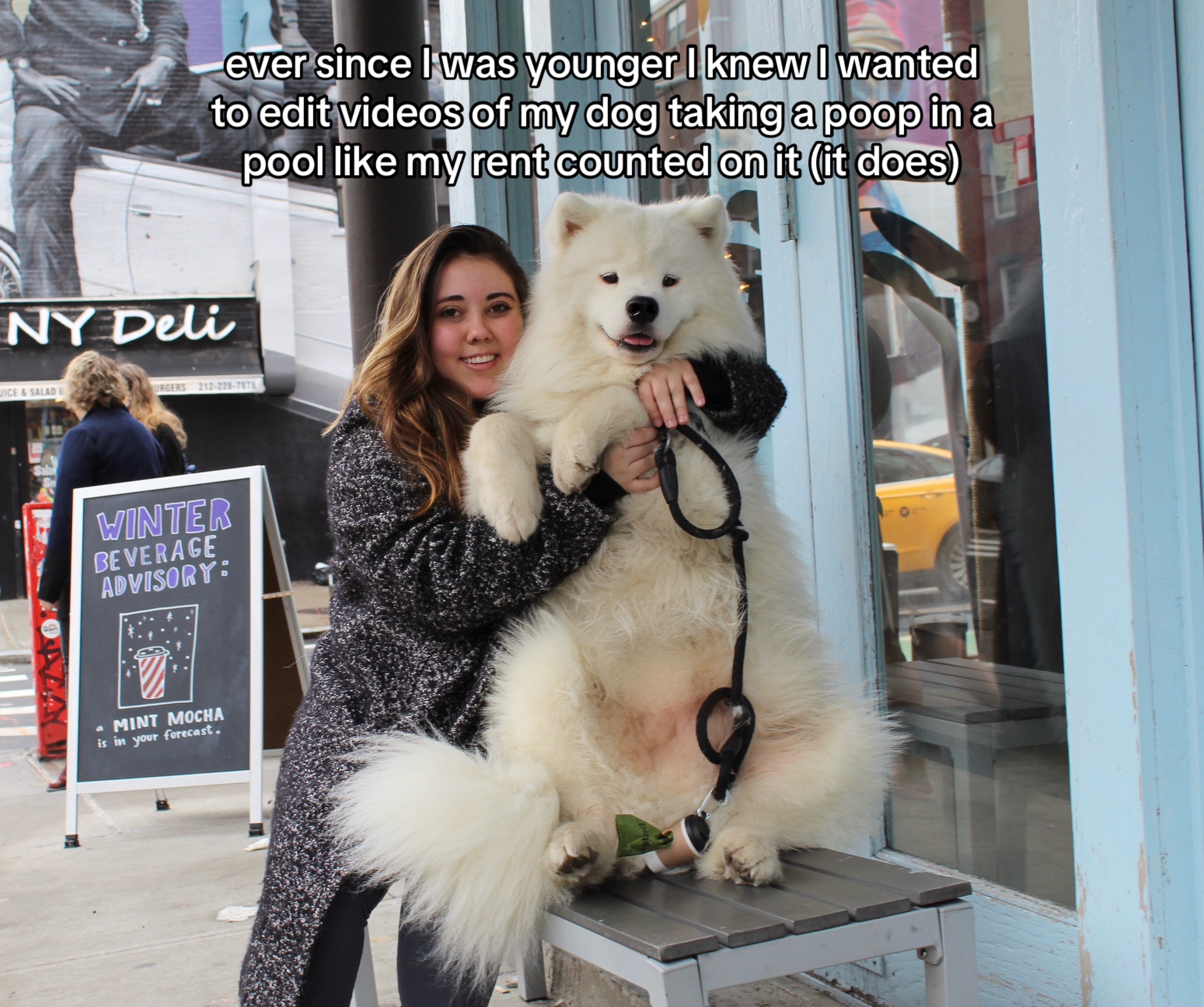 @Biff the Samoyed