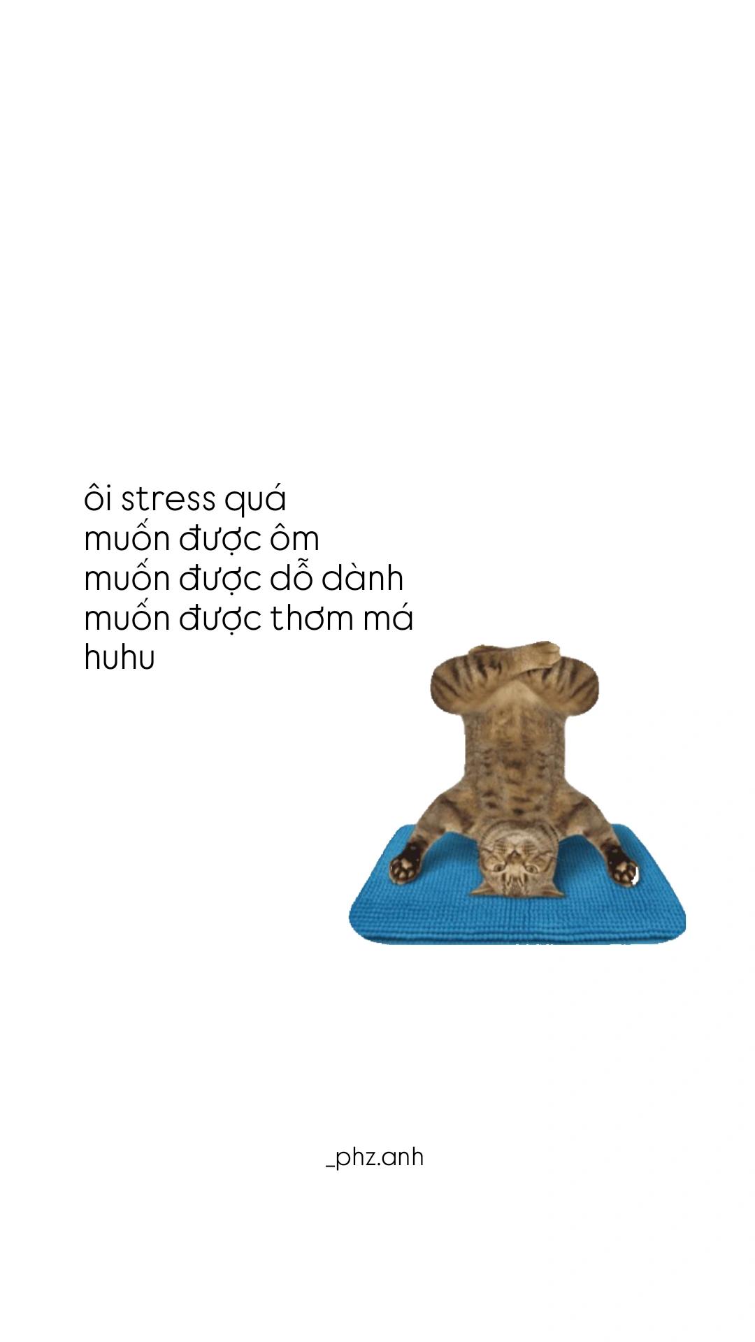 @vi