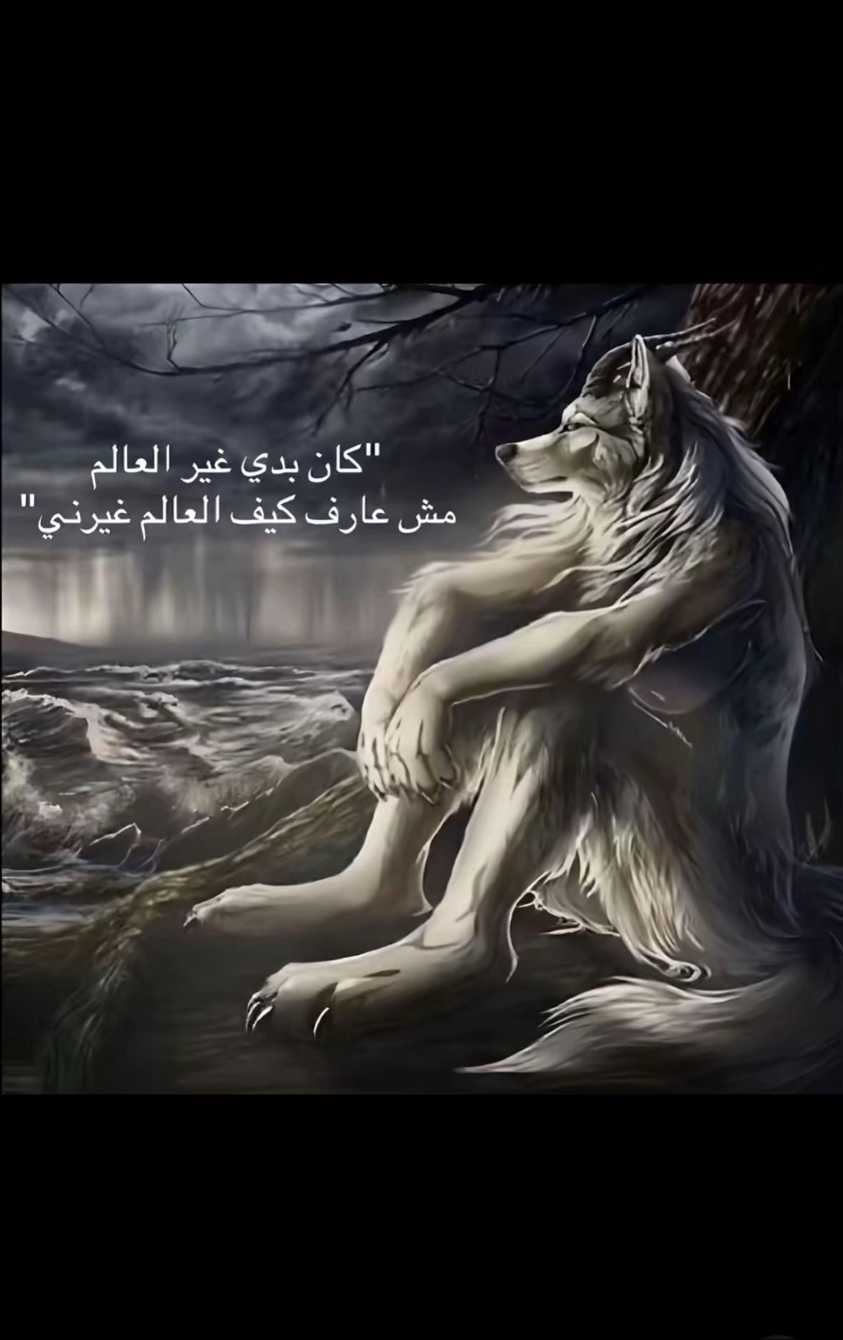 @ghidz_ᥫ᭡ ִֶָ