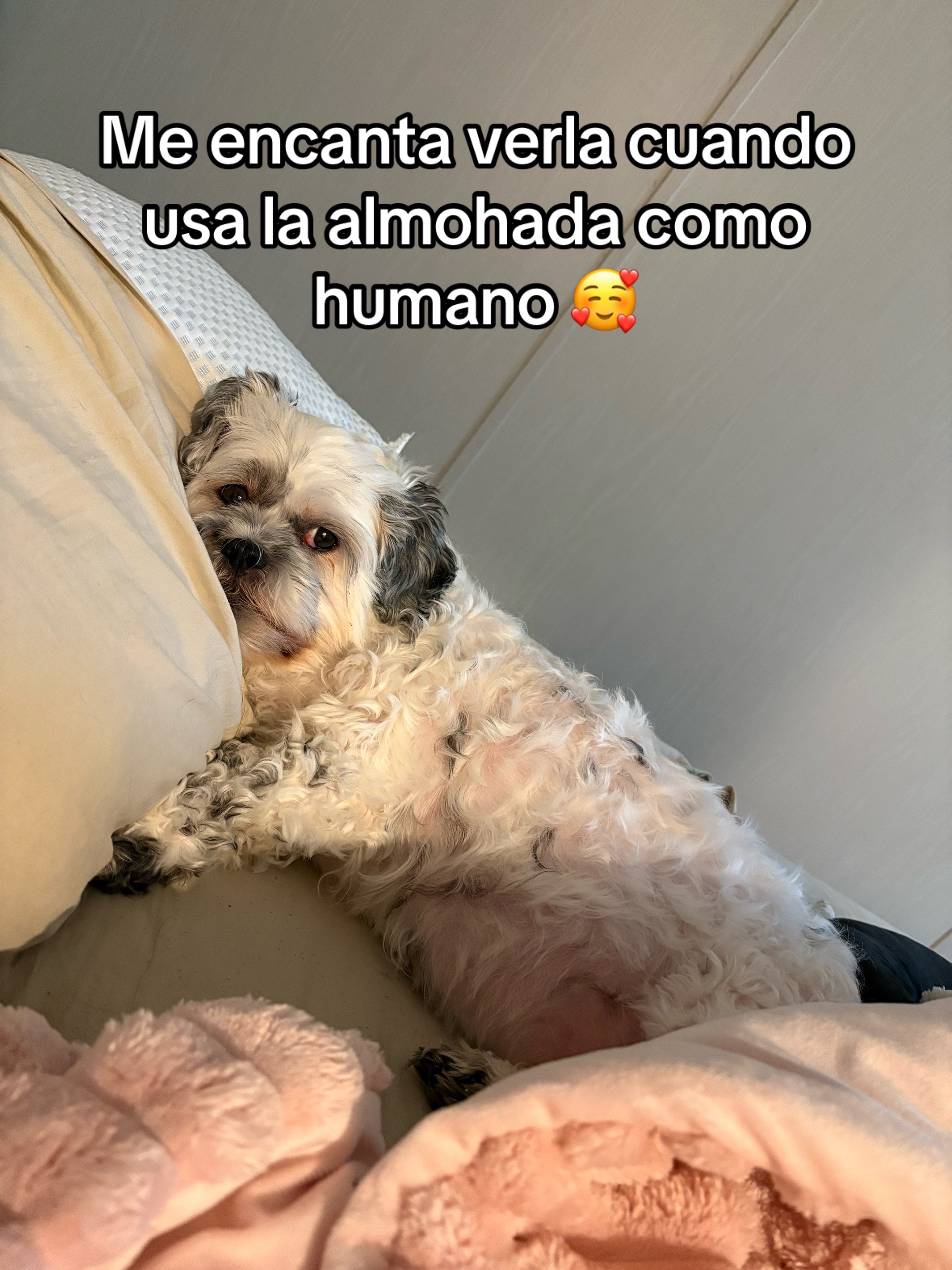 @Jessica Gómez