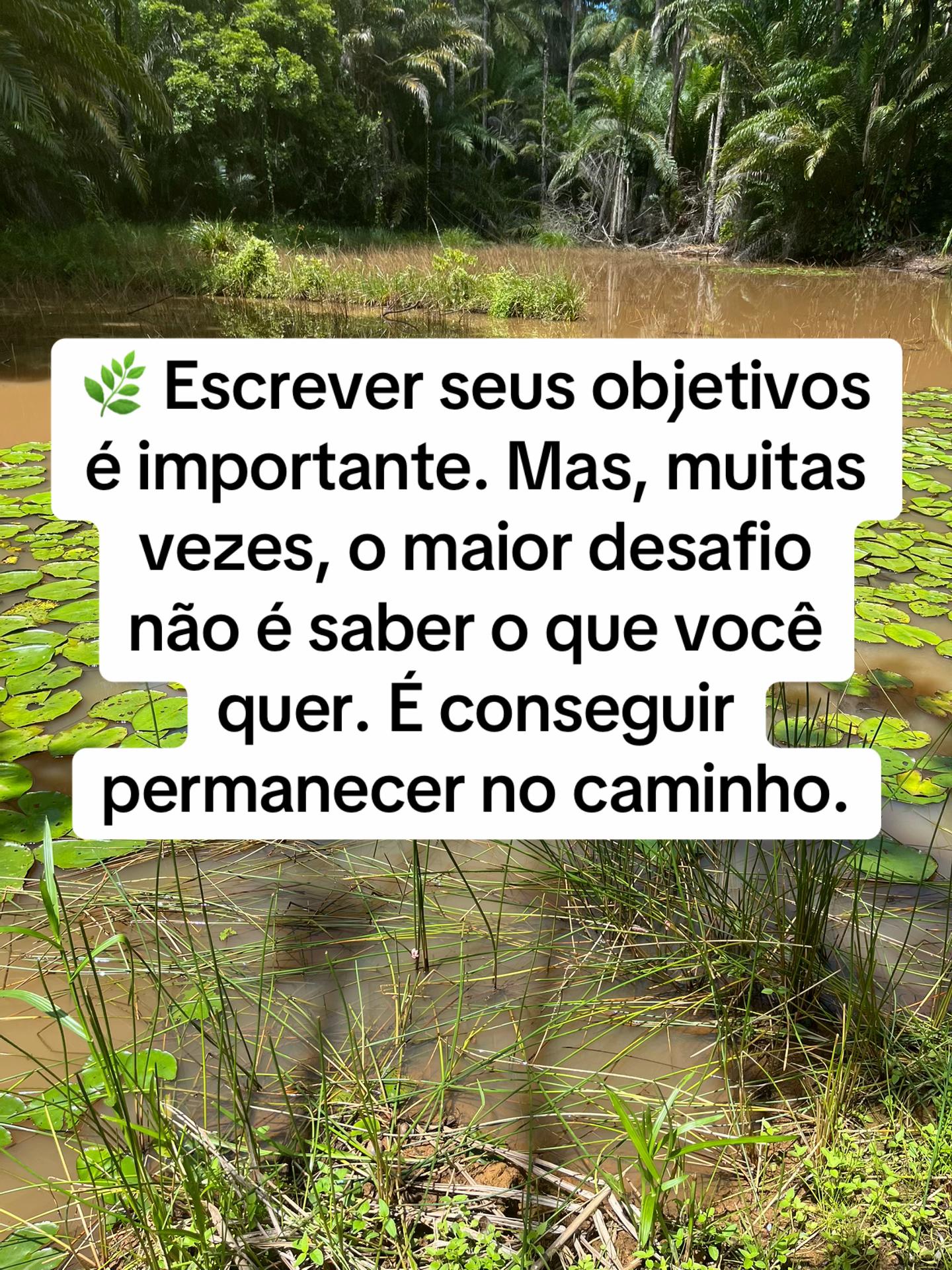 @Vanessa E. Santos | Terapeuta