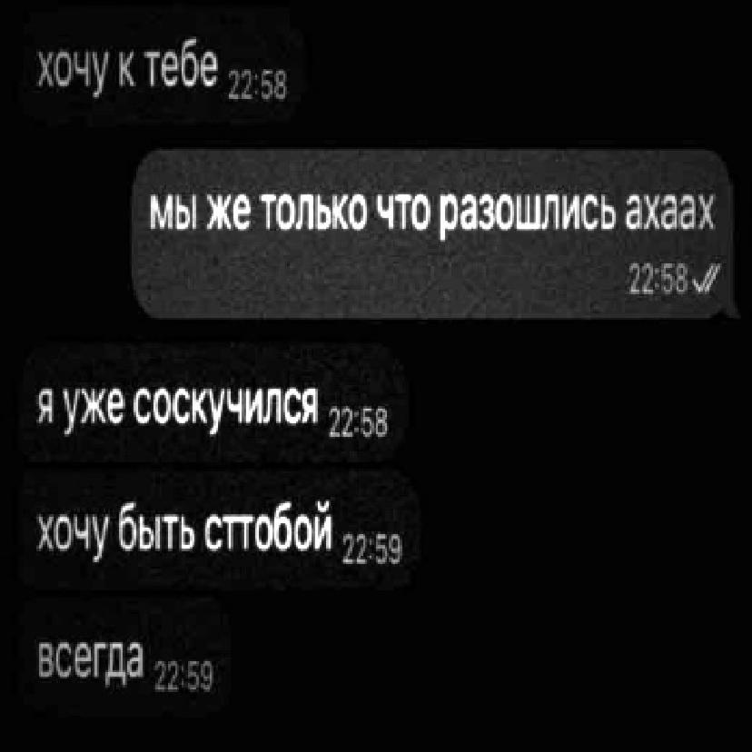 @₍^. .^₎⟆