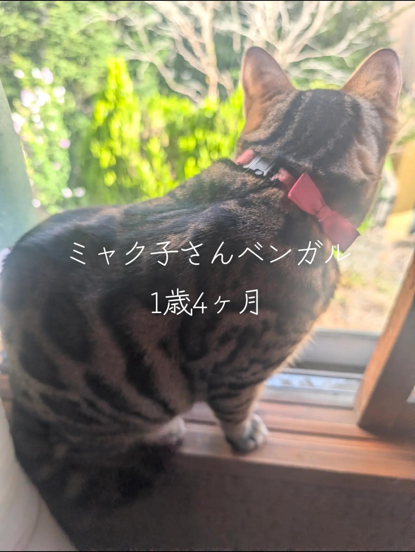 @睡眠プロデュース
