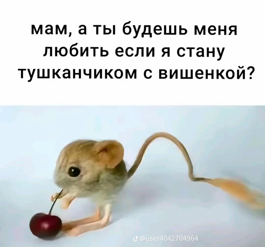@PARFENOV