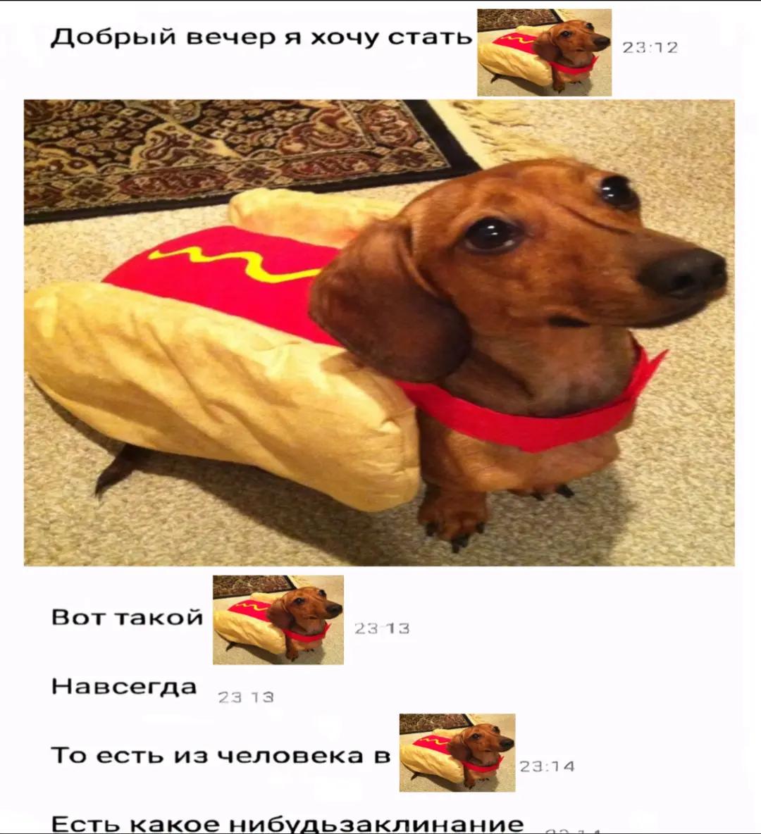 @вторник