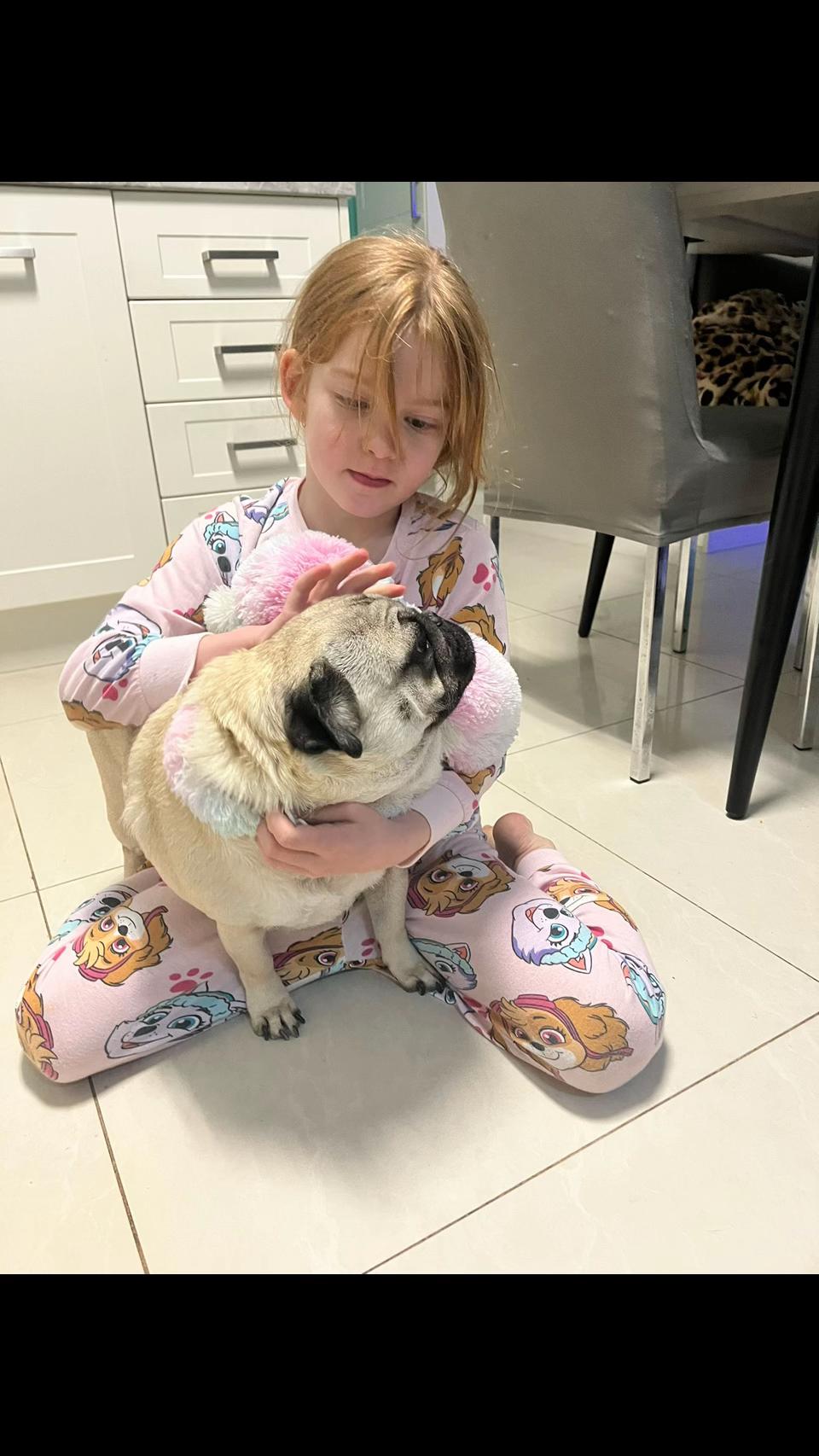 @Life with my 3 beautiful Pugs