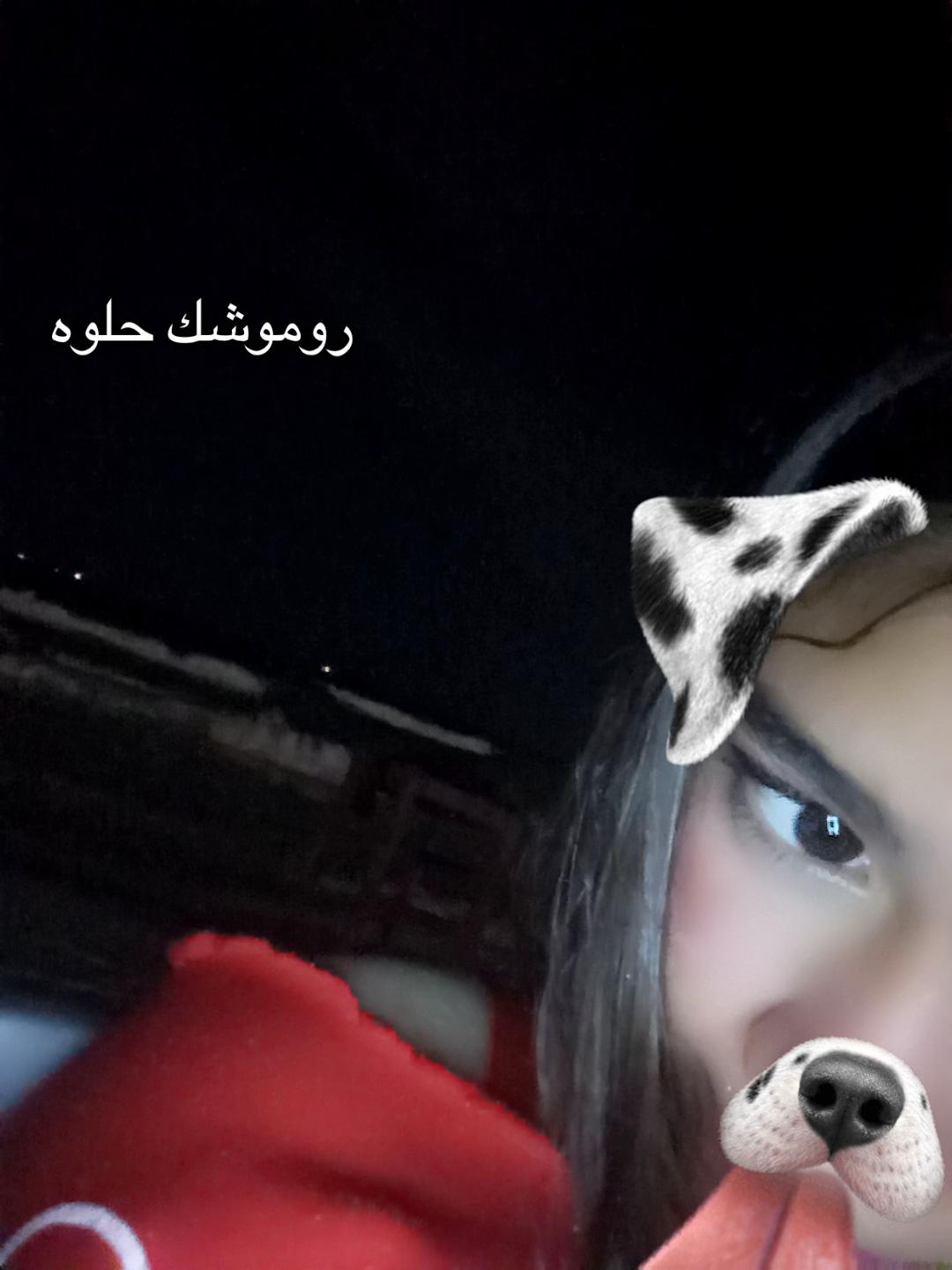 @lqaa