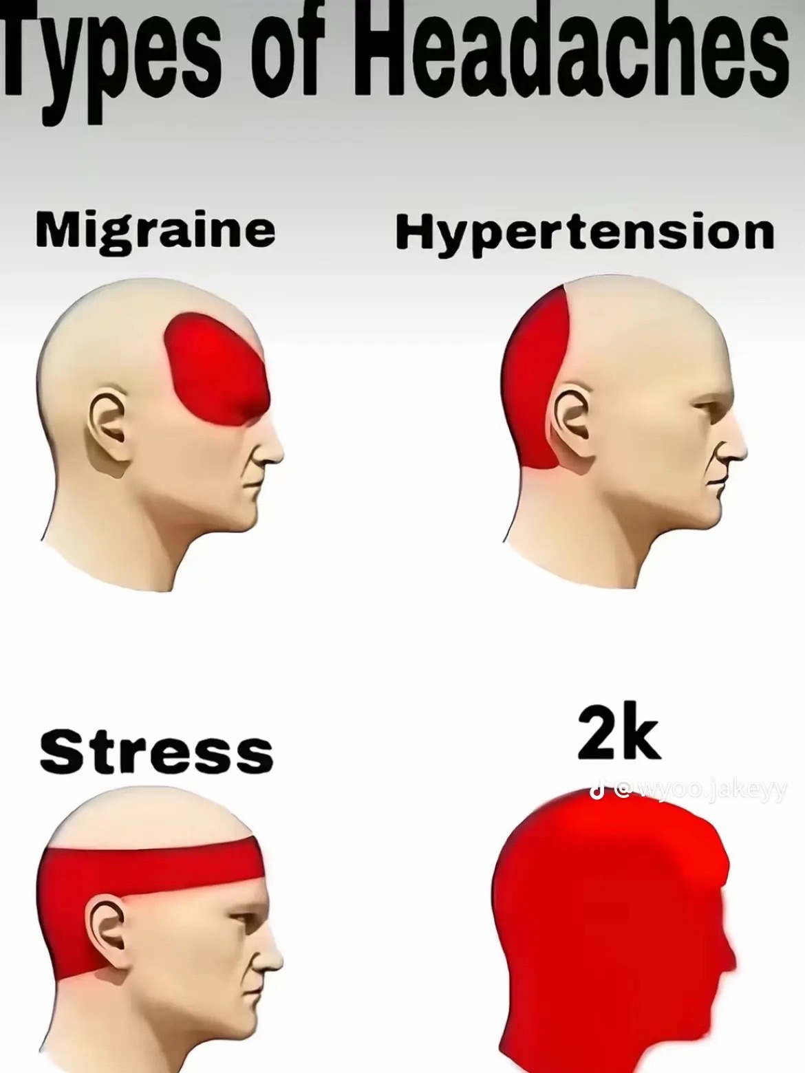 @allstar_frnx