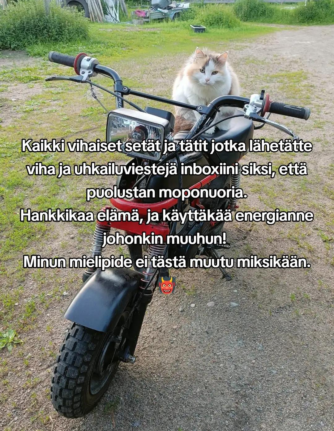 @YönMörkö👹