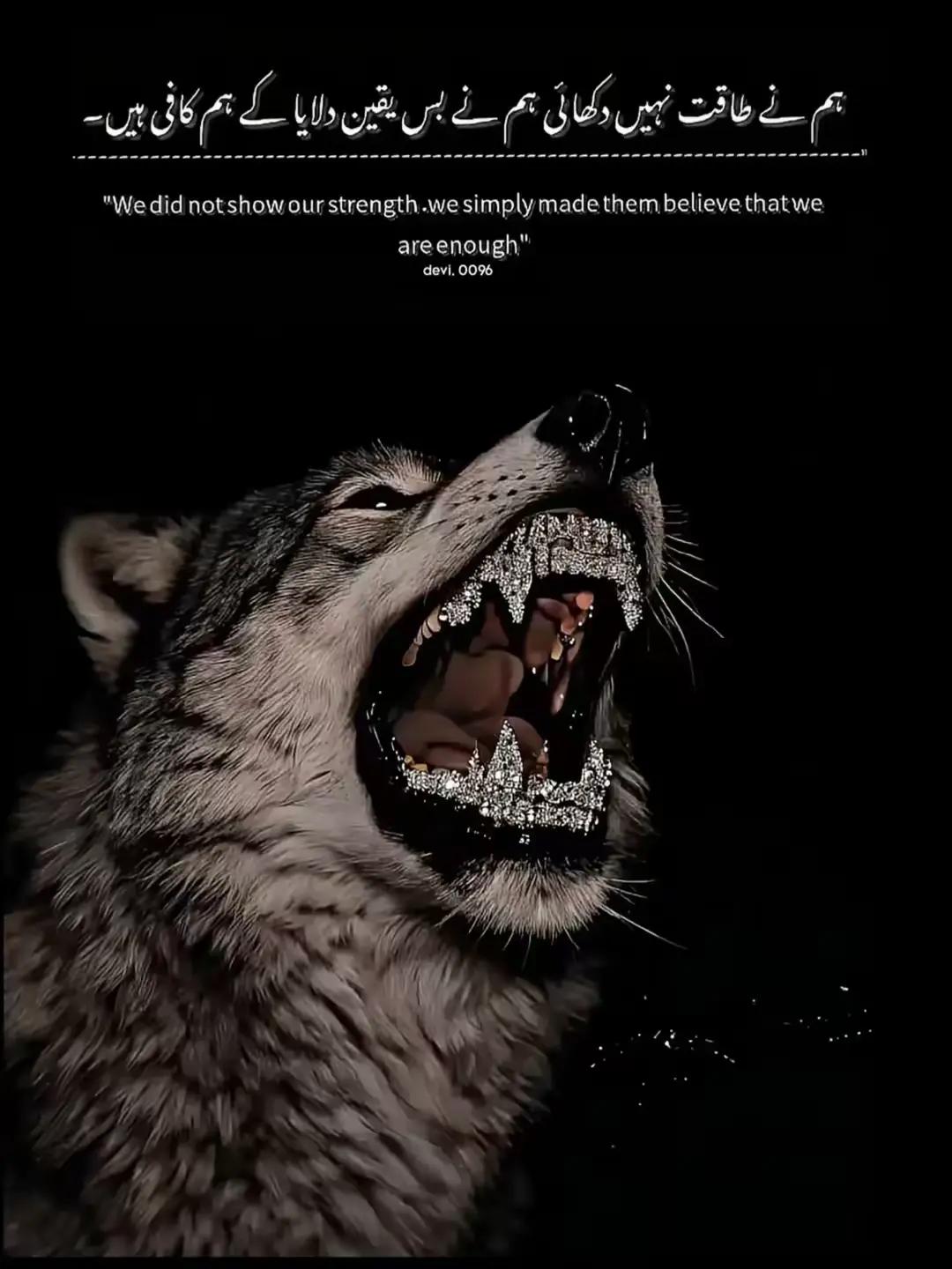 @اۄیس جرال🖤
