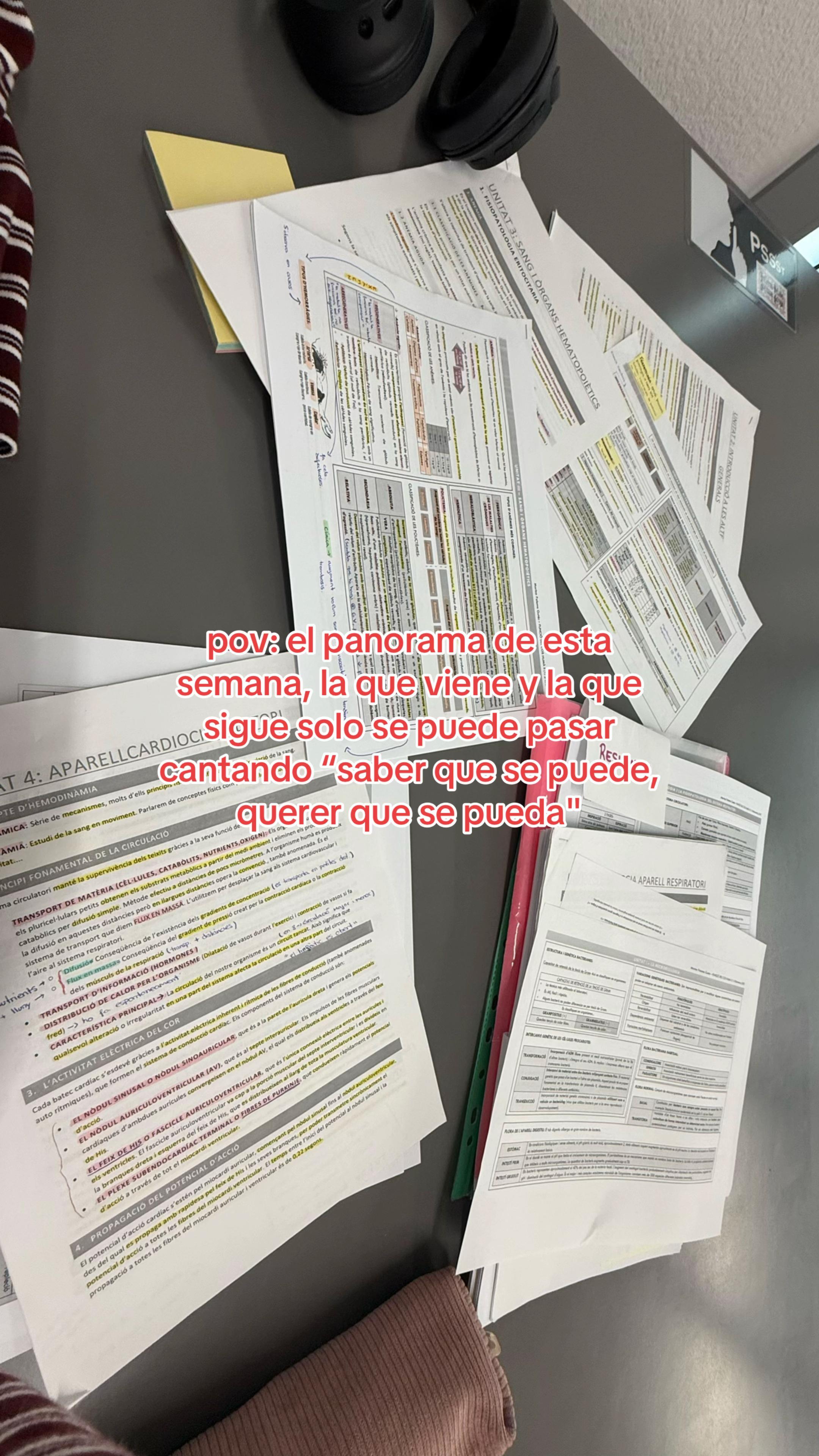 @Soy una pitufa 😃