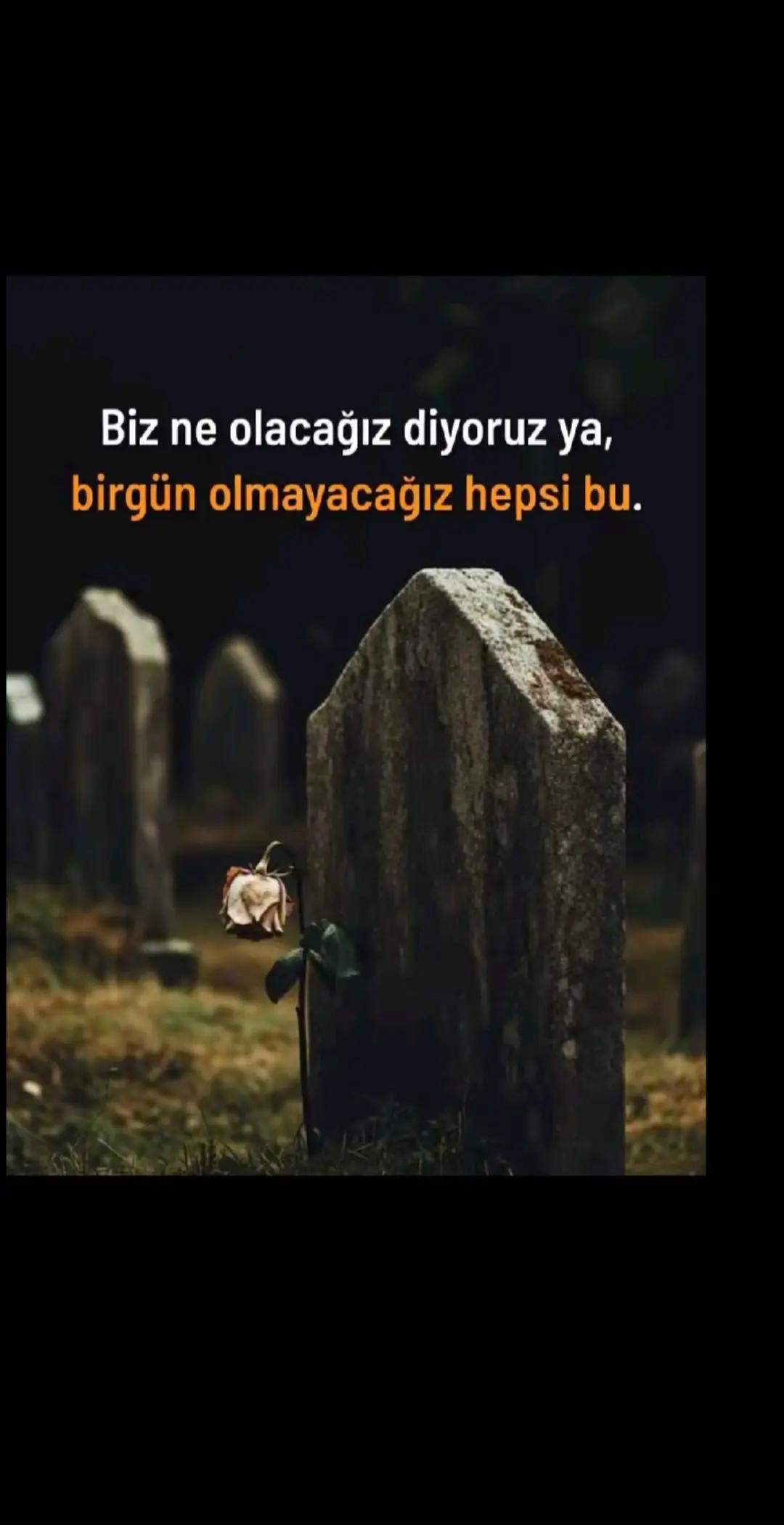 @aysel_ 2734