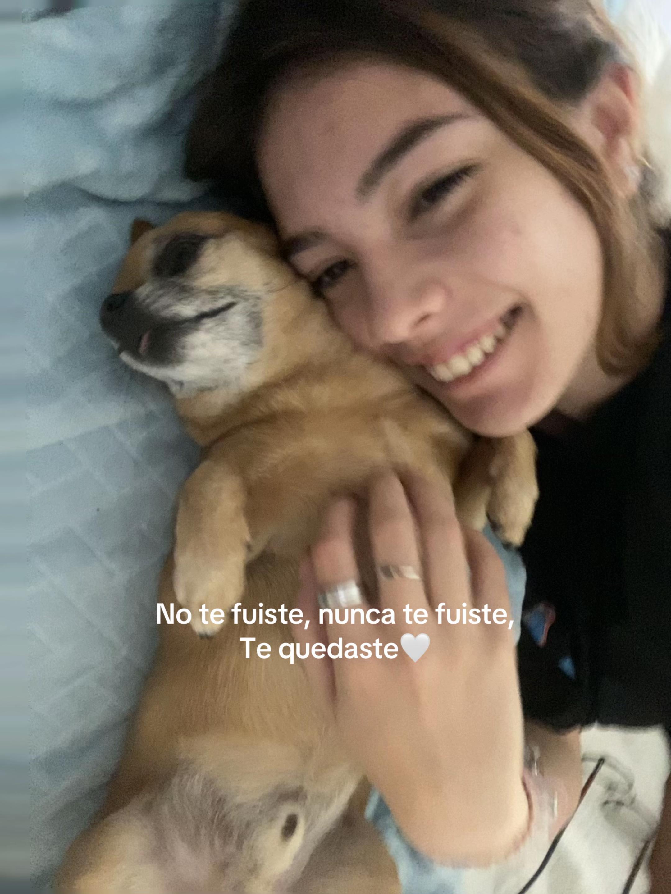 @nerealp_3