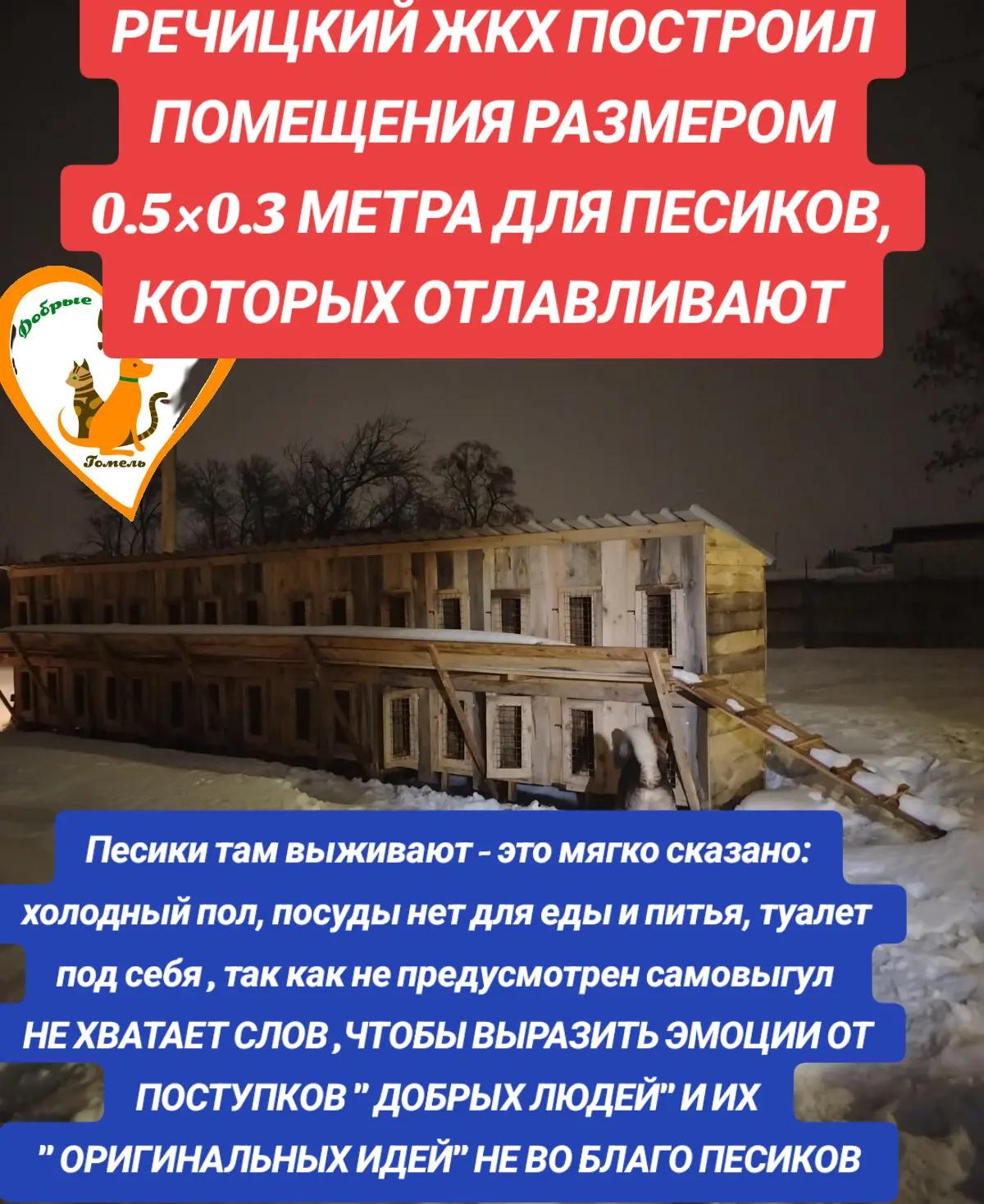 @Марина
