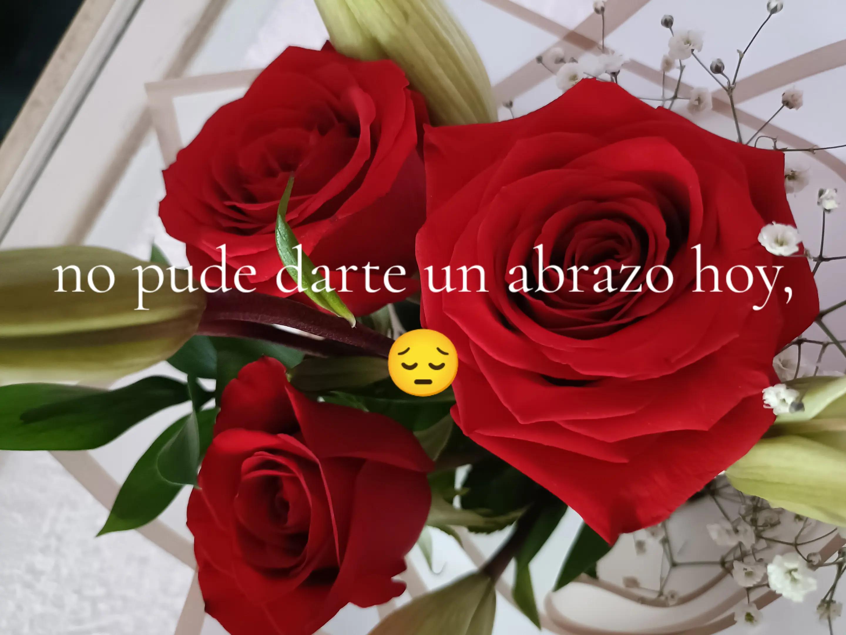 @Emilia