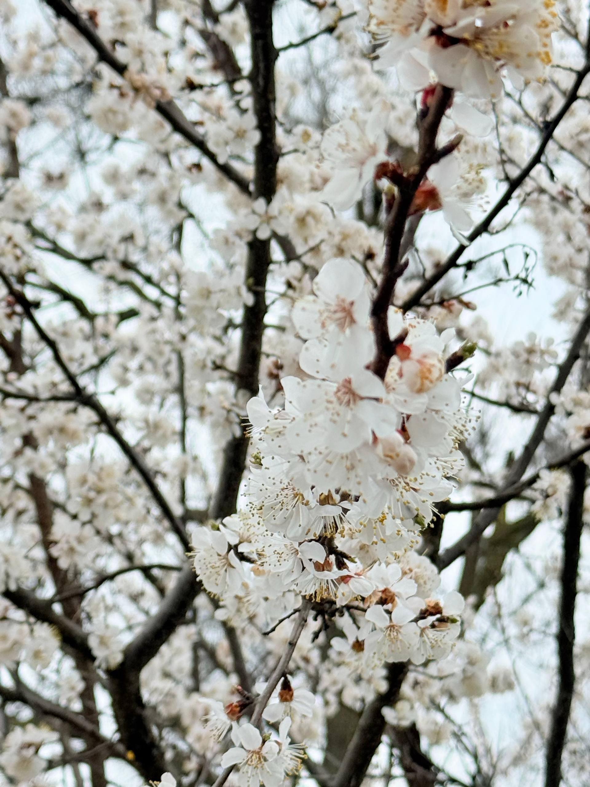 @𝐤𝐢𝐬𝐚
