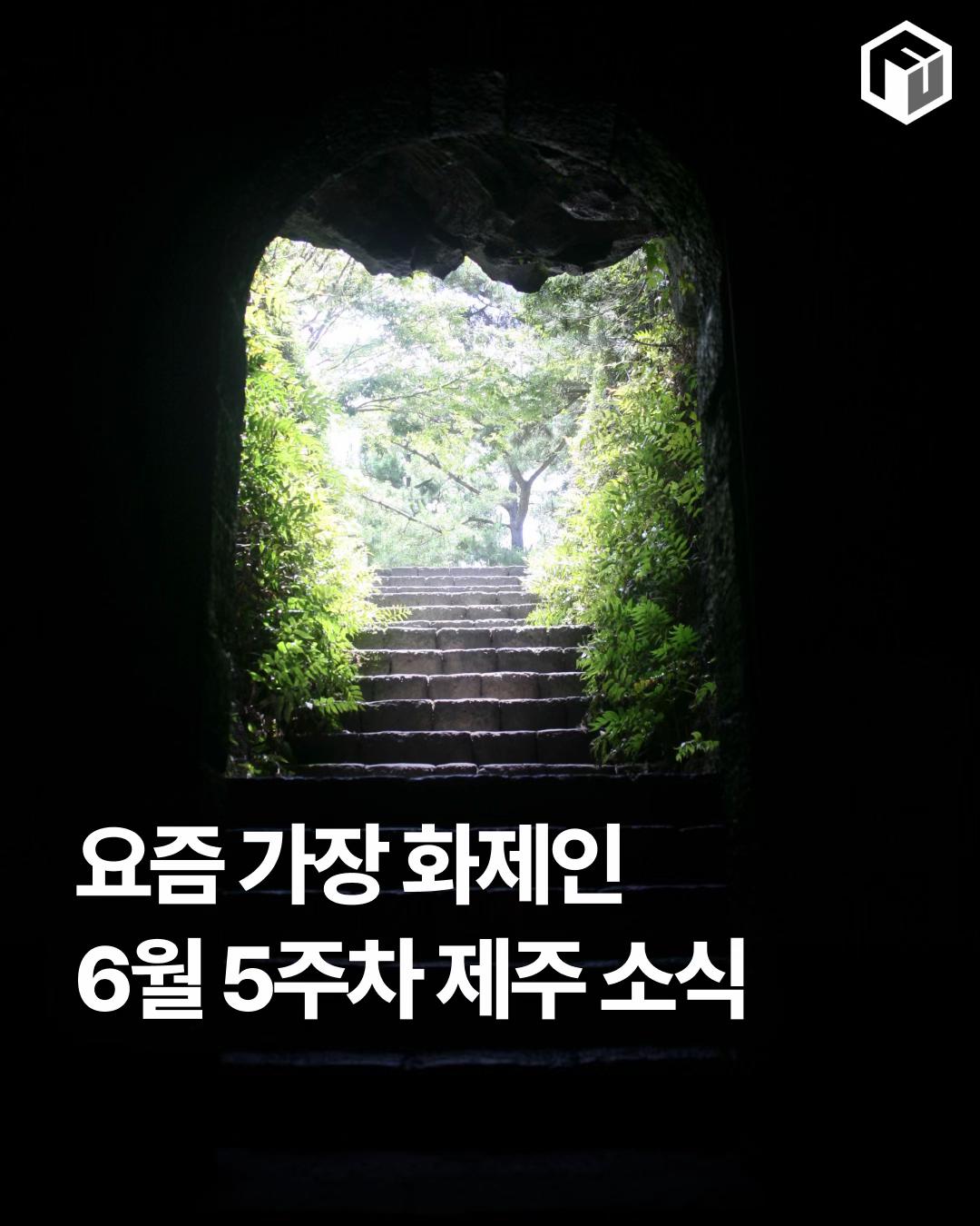 @제주톡톡