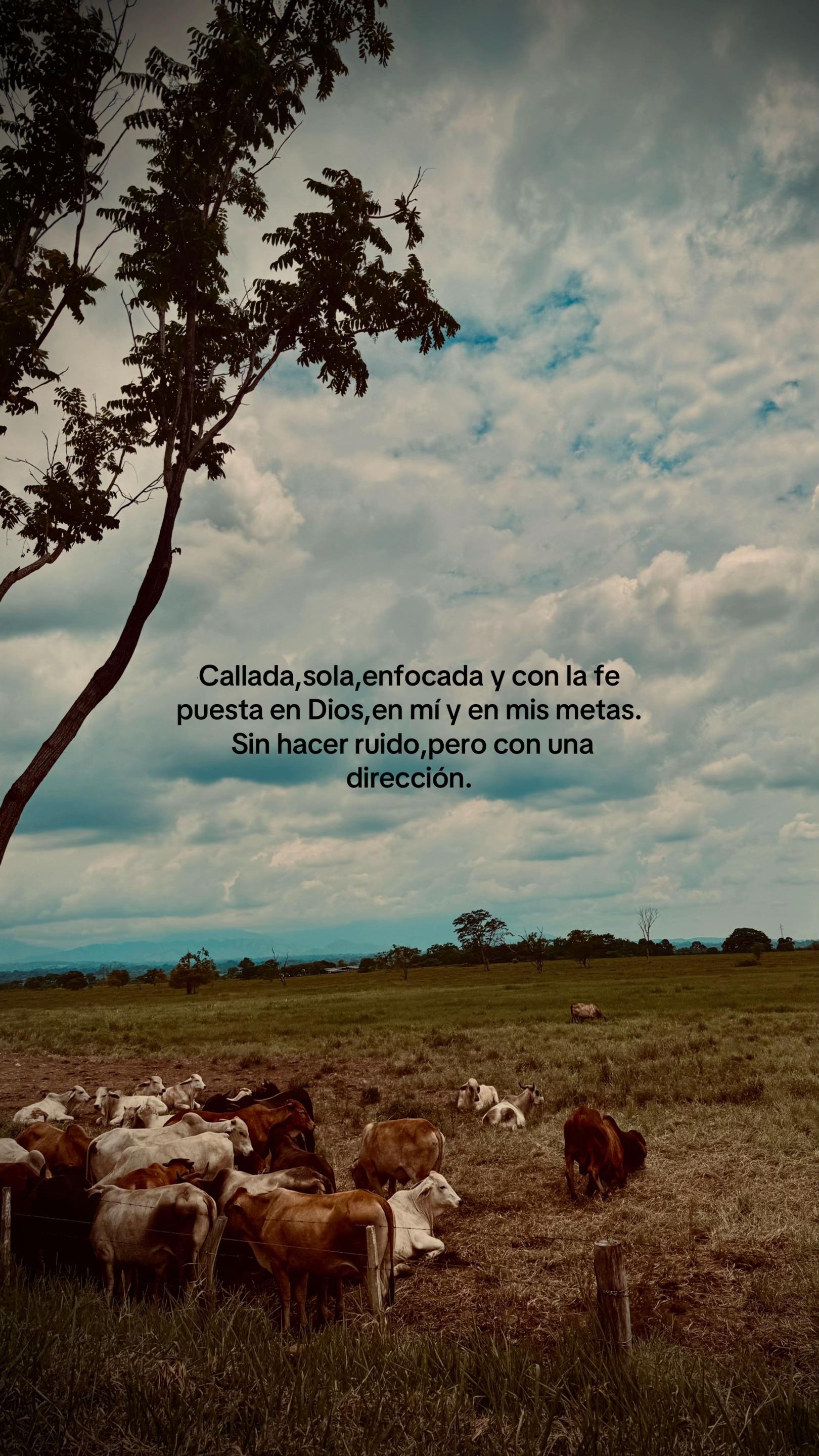 @Luisana.