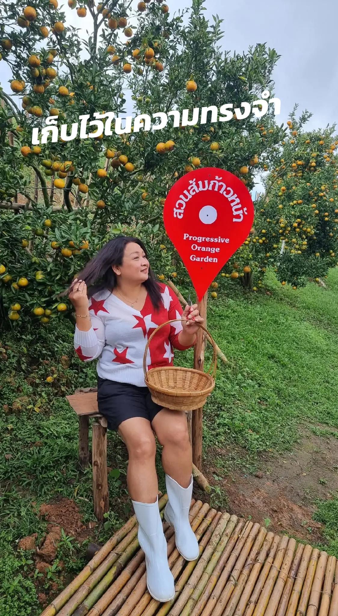 @♥️ผู้ใหญ่กุลริศา♥️