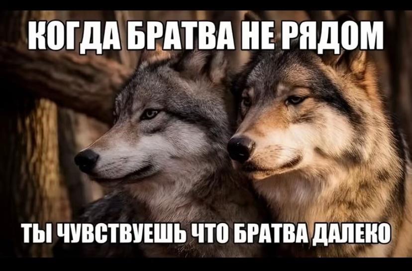 @Salkin116