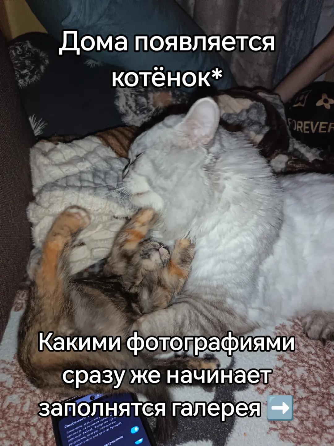 @KoloBok