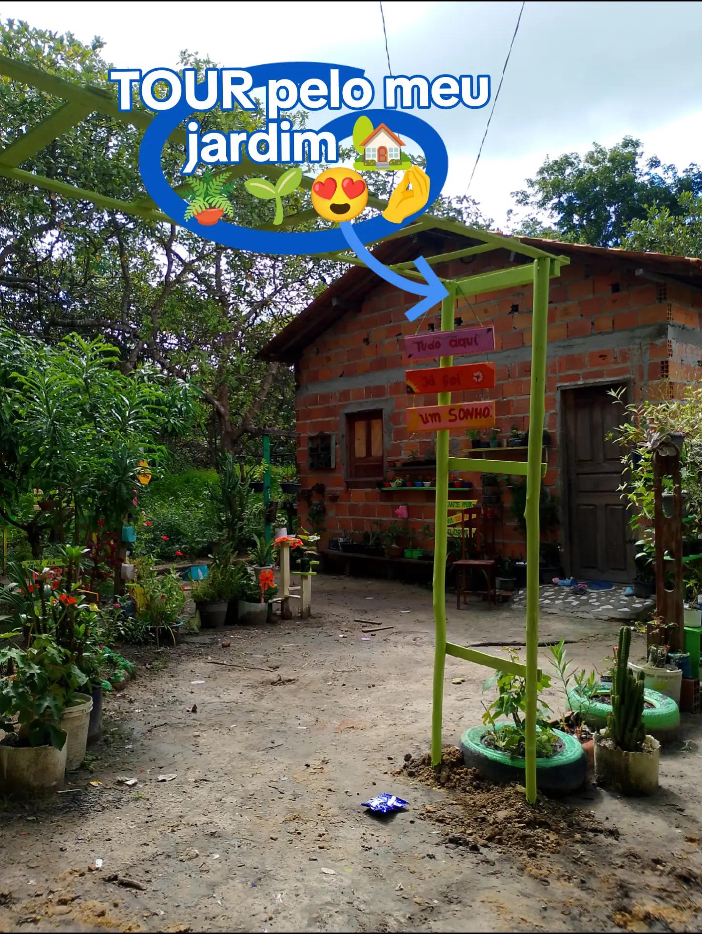 @jardim da neya🪴🌵