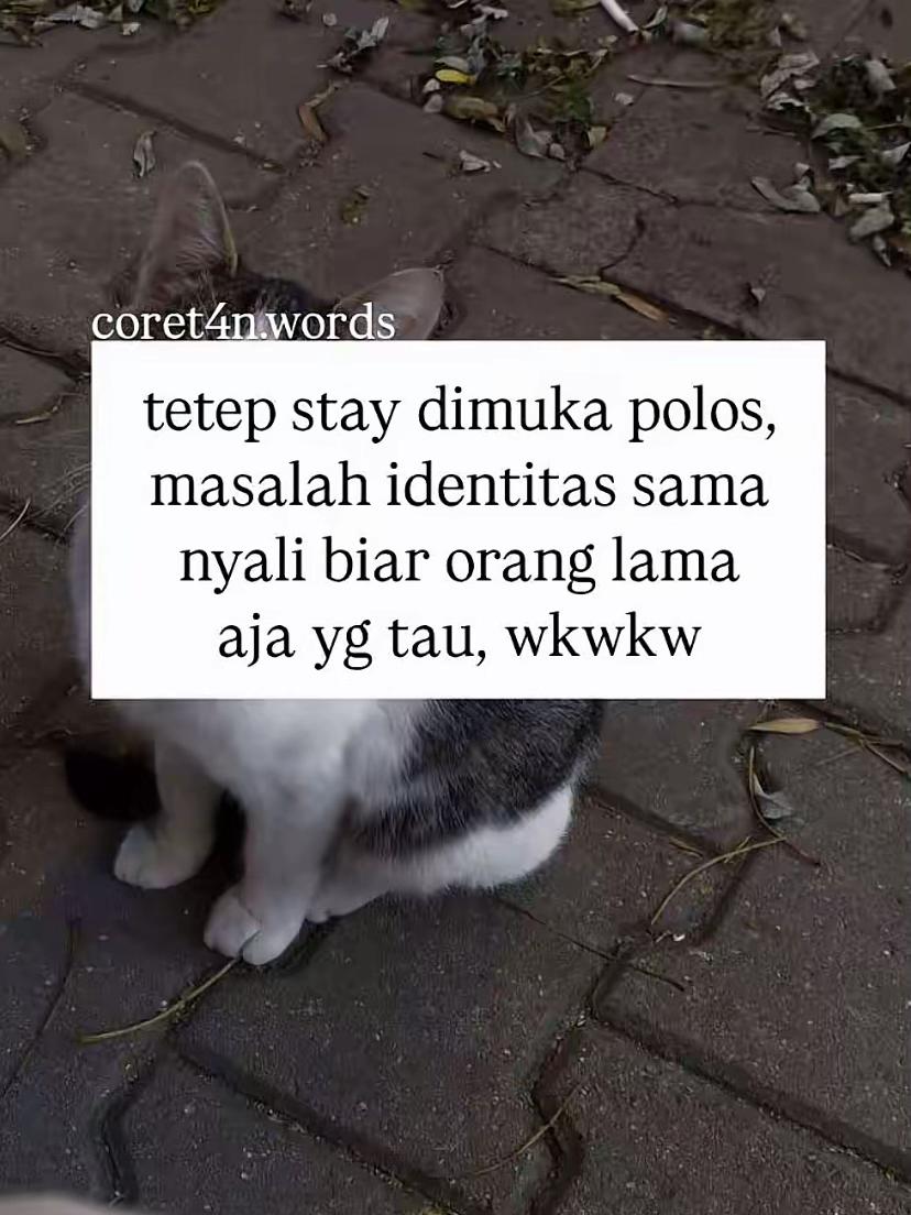 @xxyzall