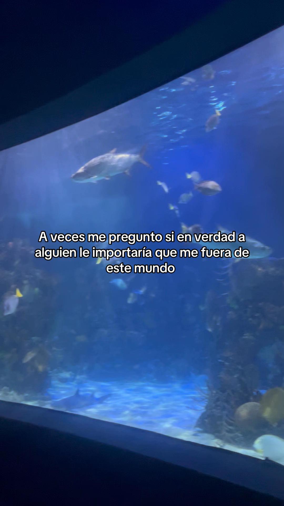 @cuenta.sad1201