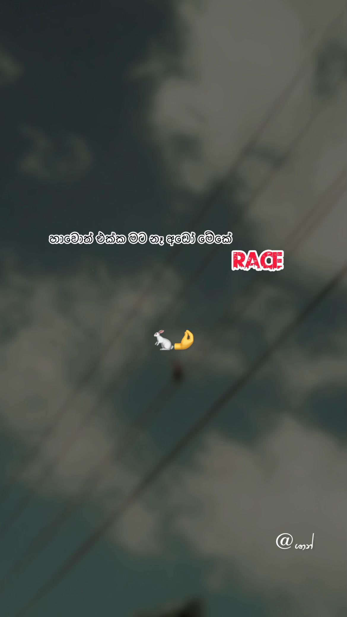 @๐ป๐๐_๐บ๐๐๐๐ ๐"