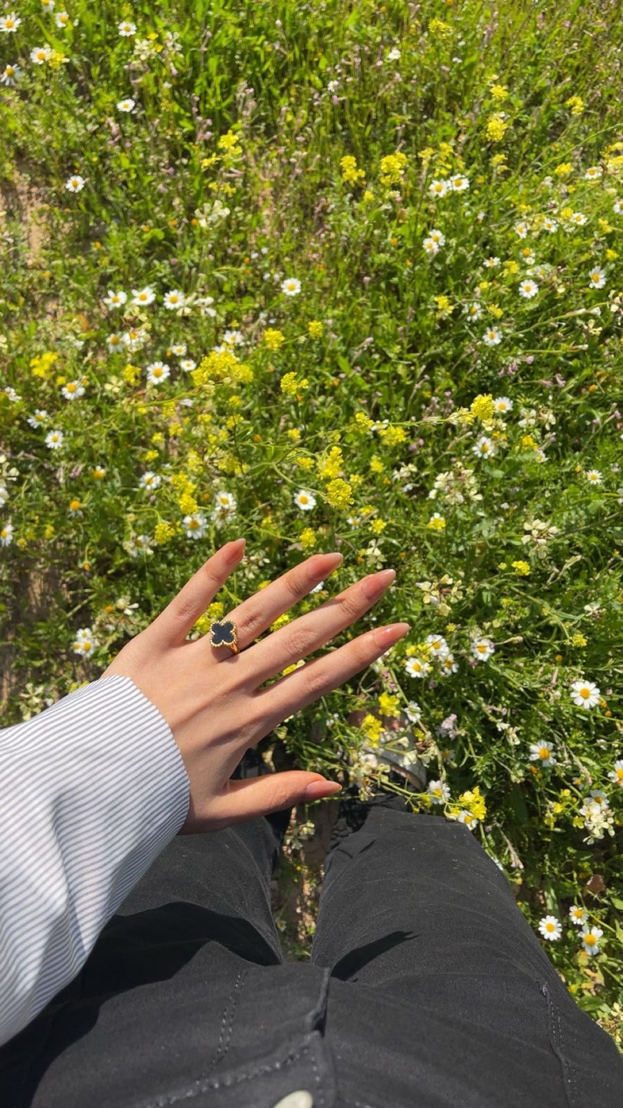 @نَبأ