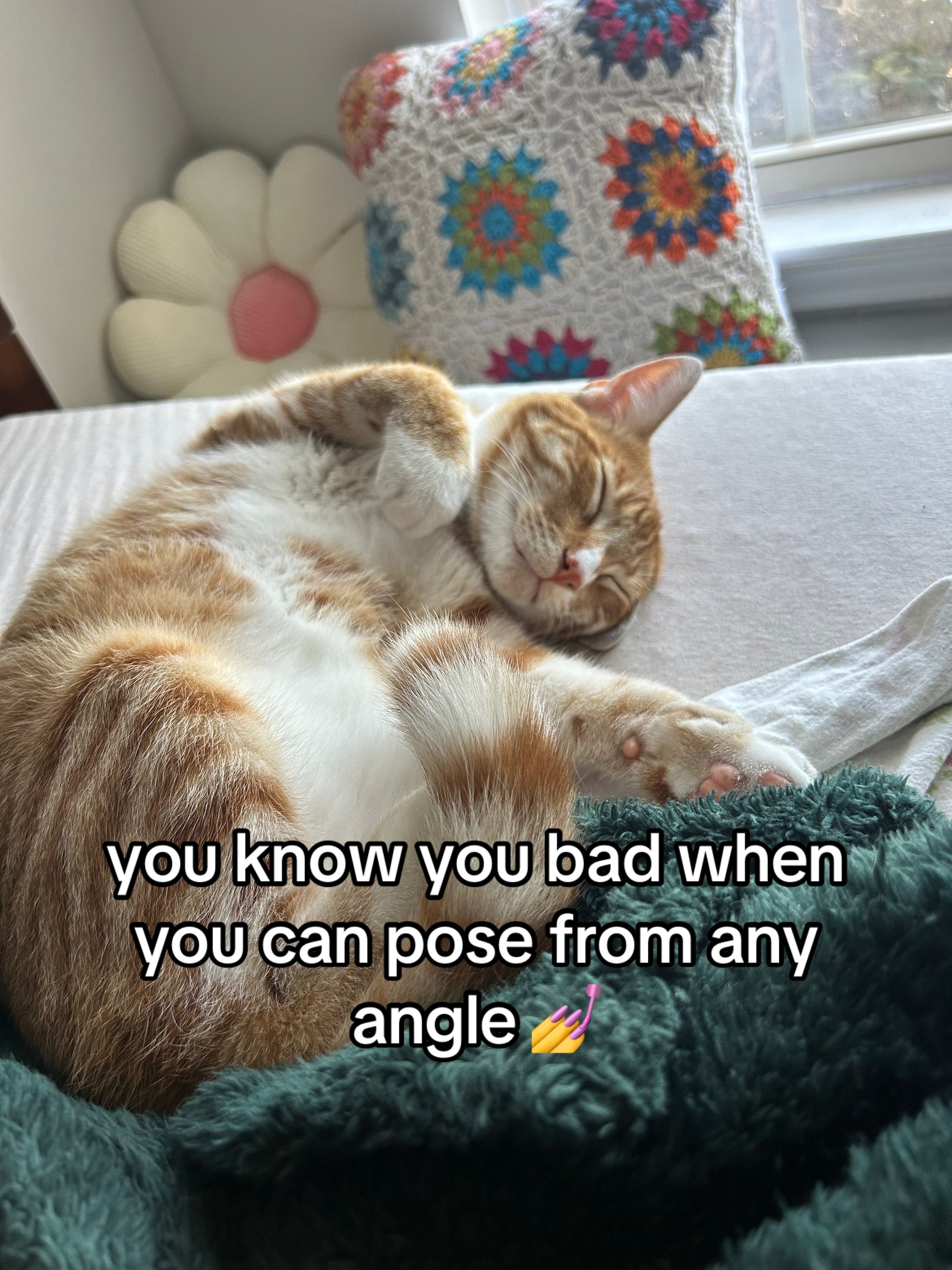 @anna