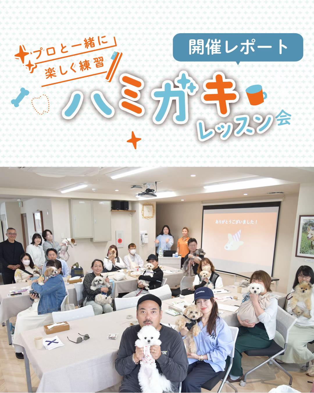@帝塚山ハウンドカム