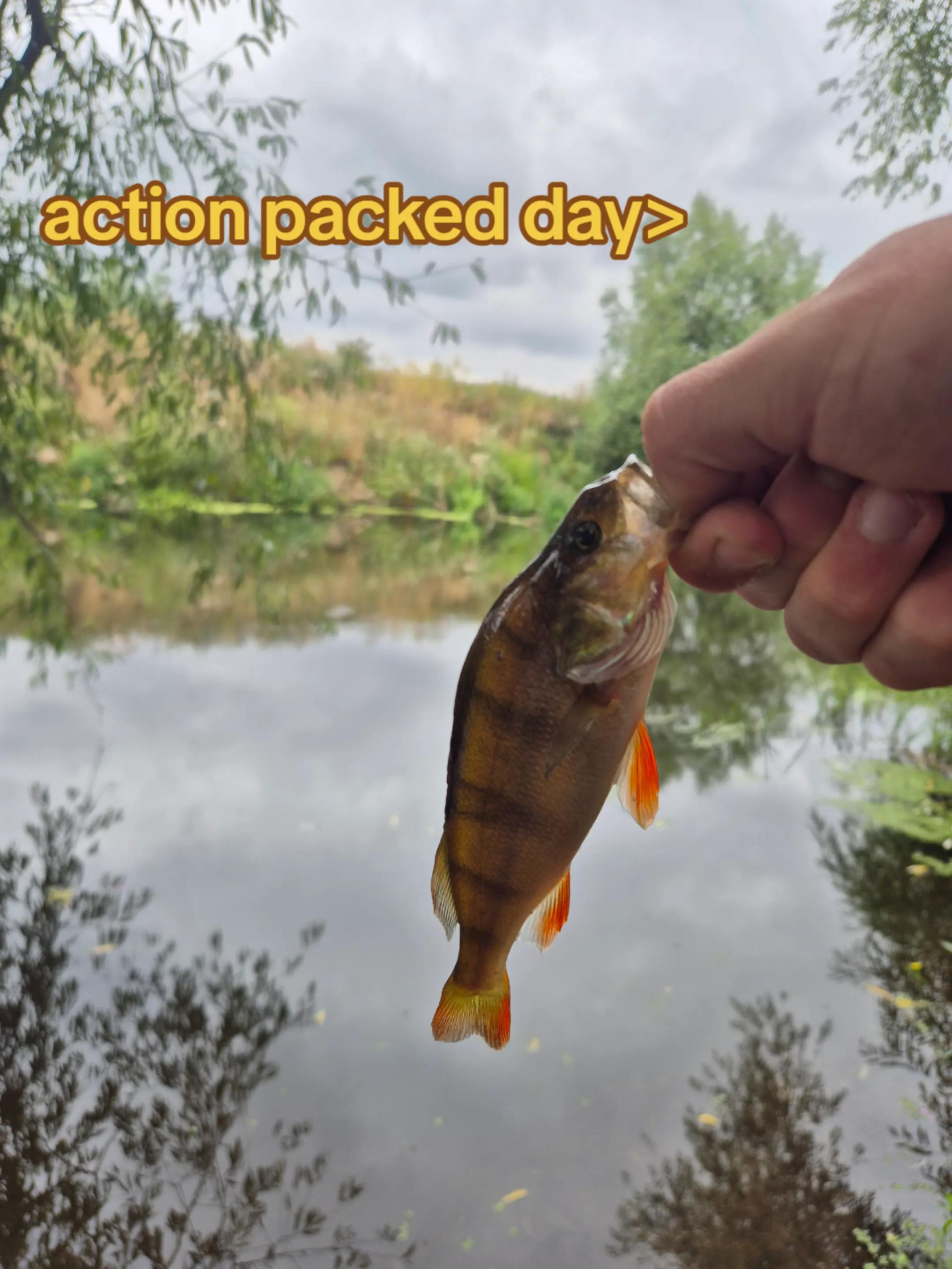 @RB.fishing