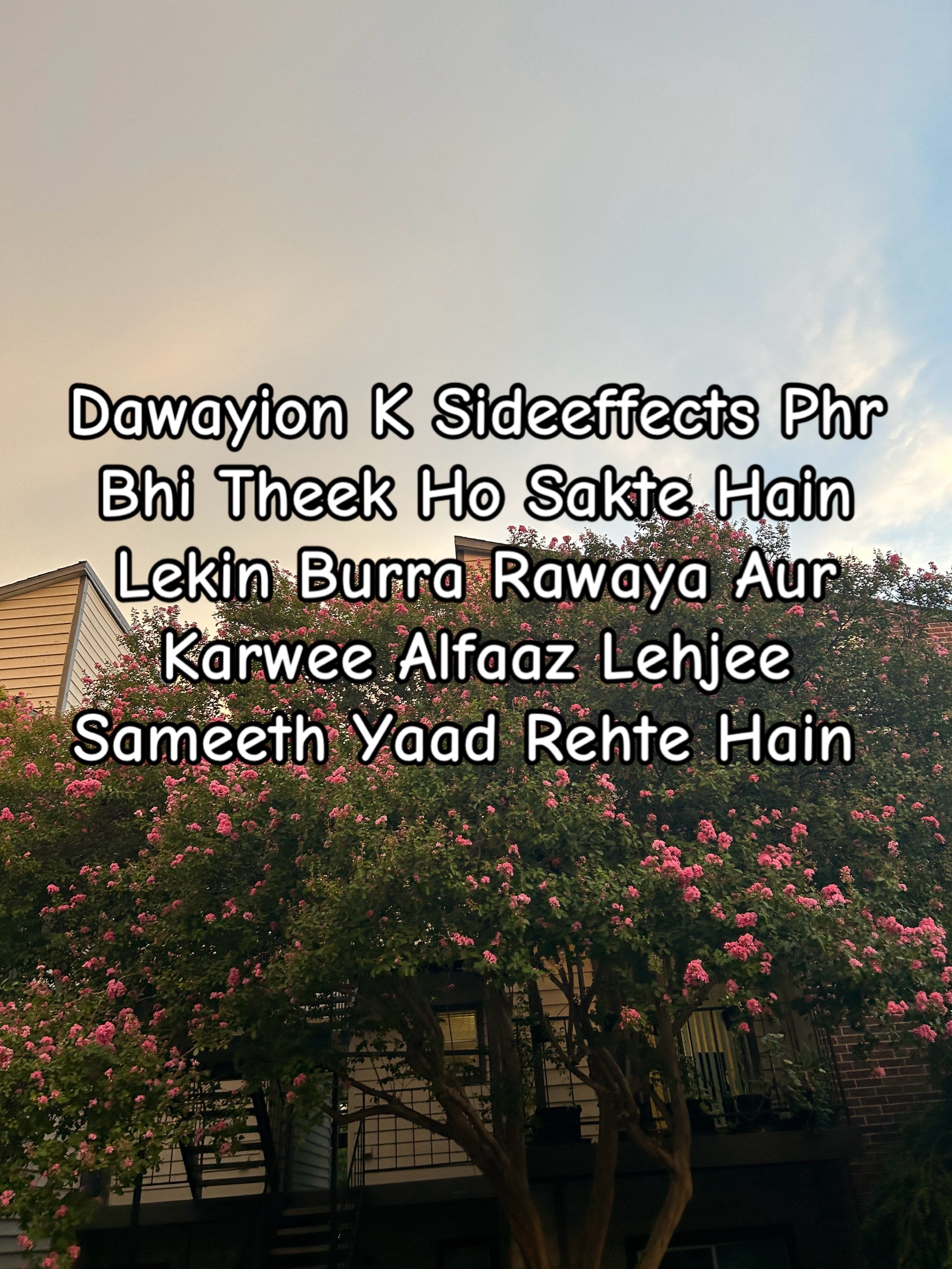 @ZaraHayat020104