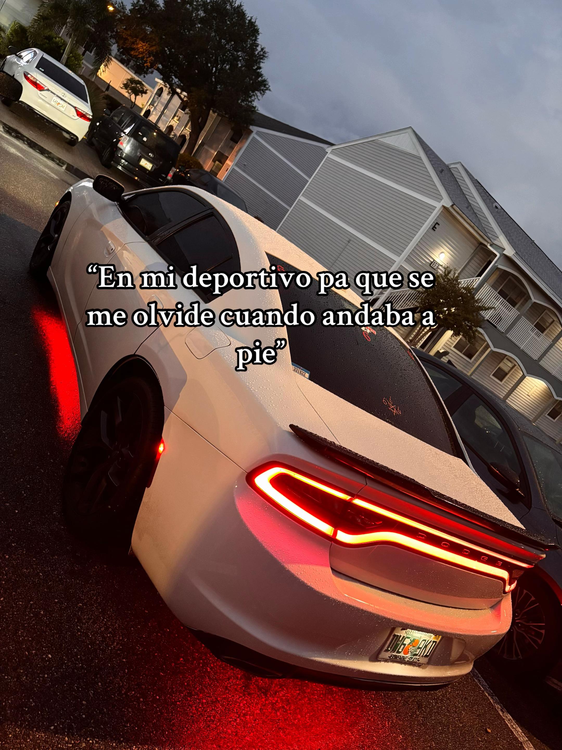 @Zaul.RzBx