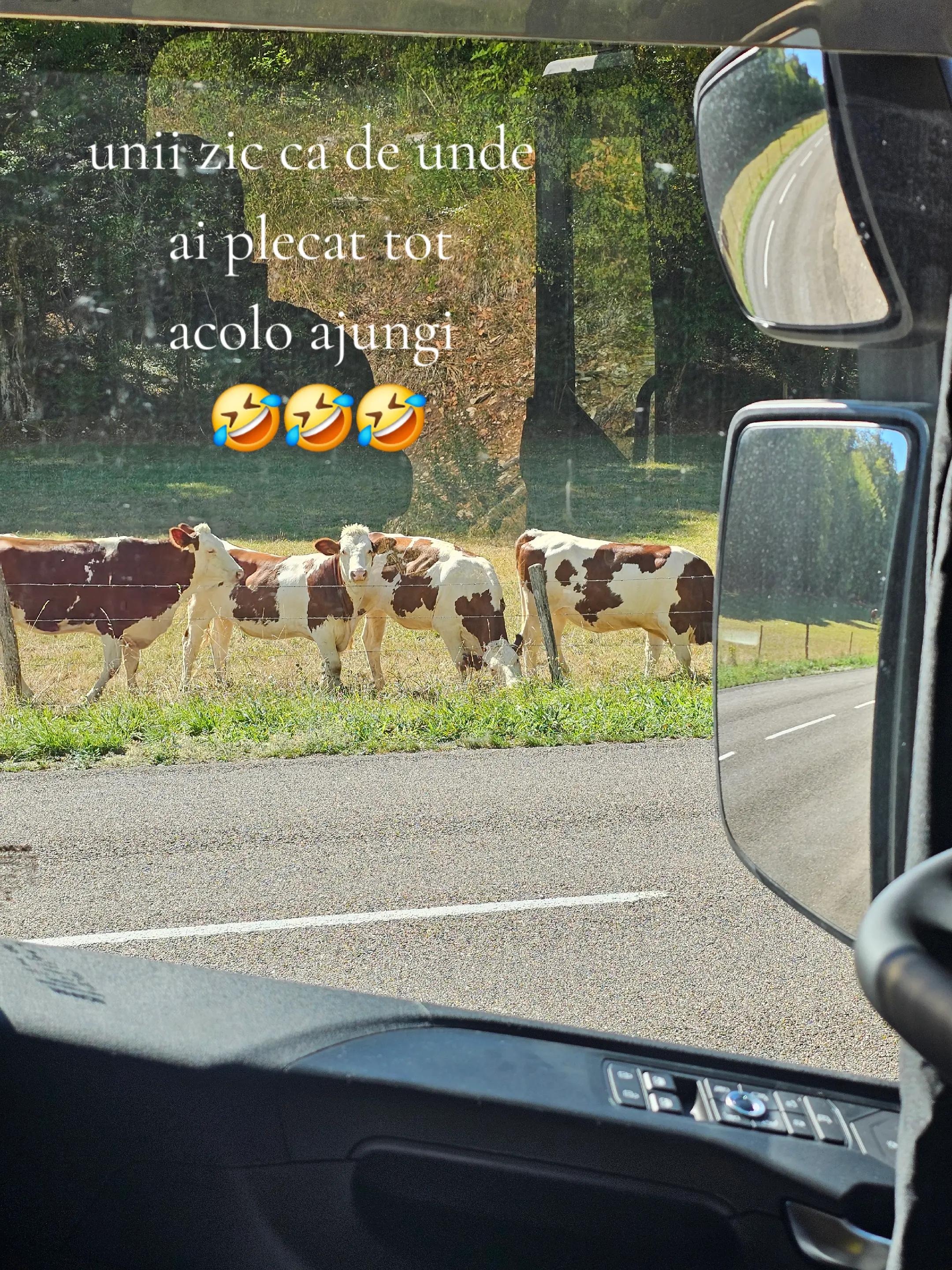 @"ADENUȘ"