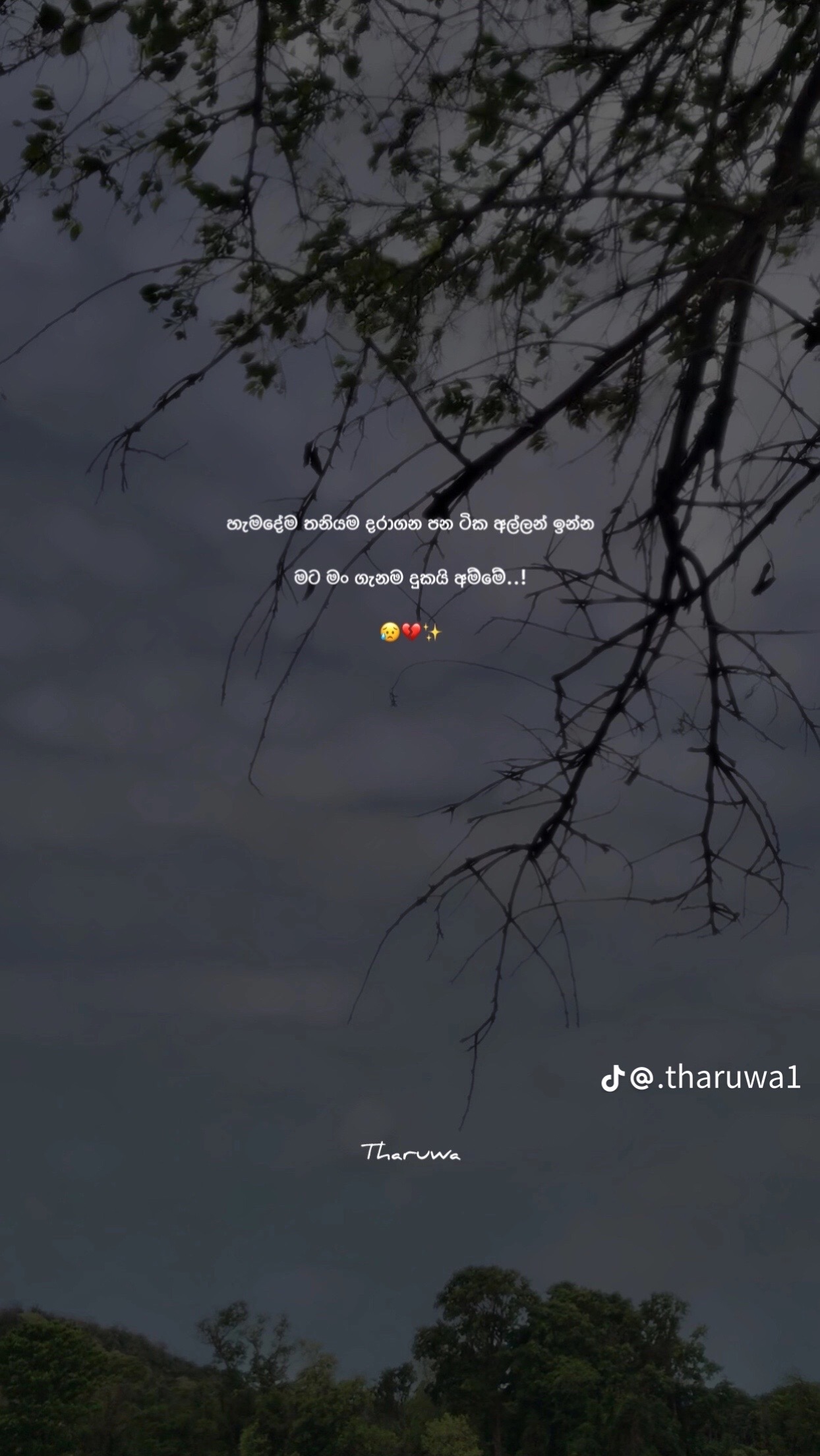 @nawo__girl_01__