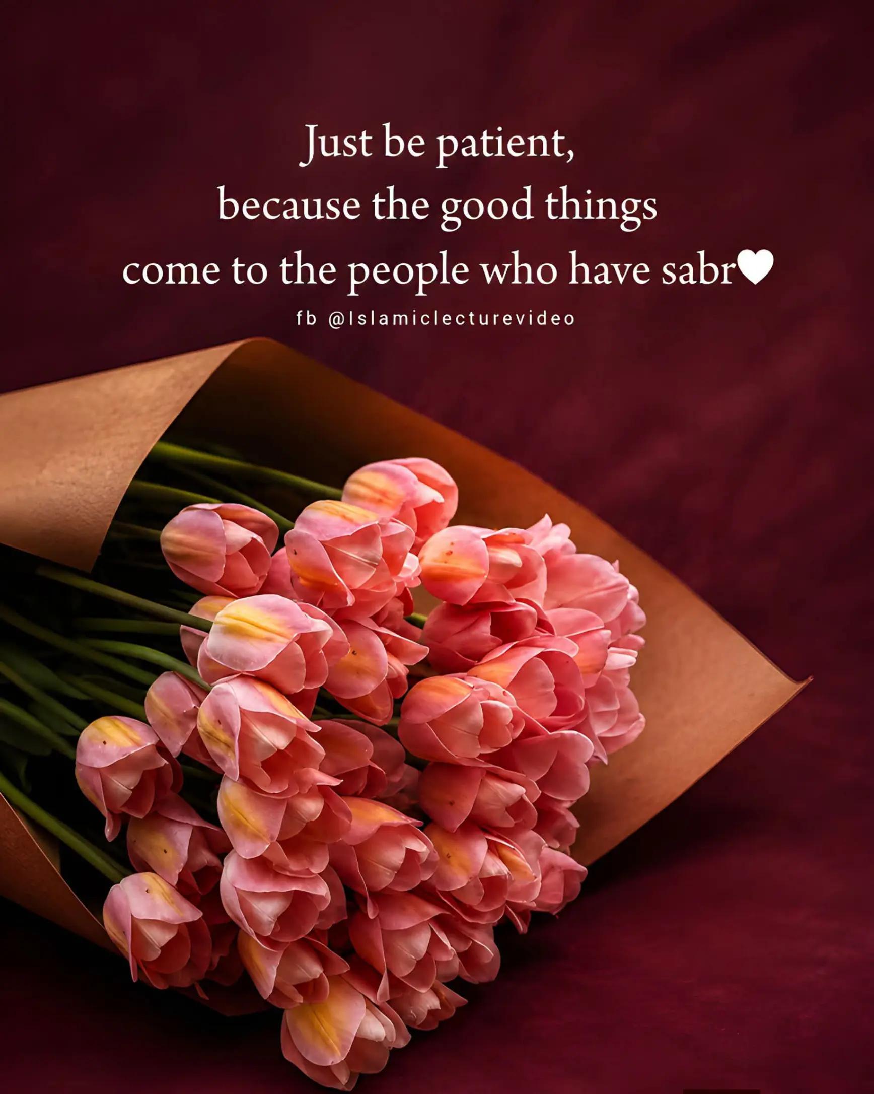 @salma ali