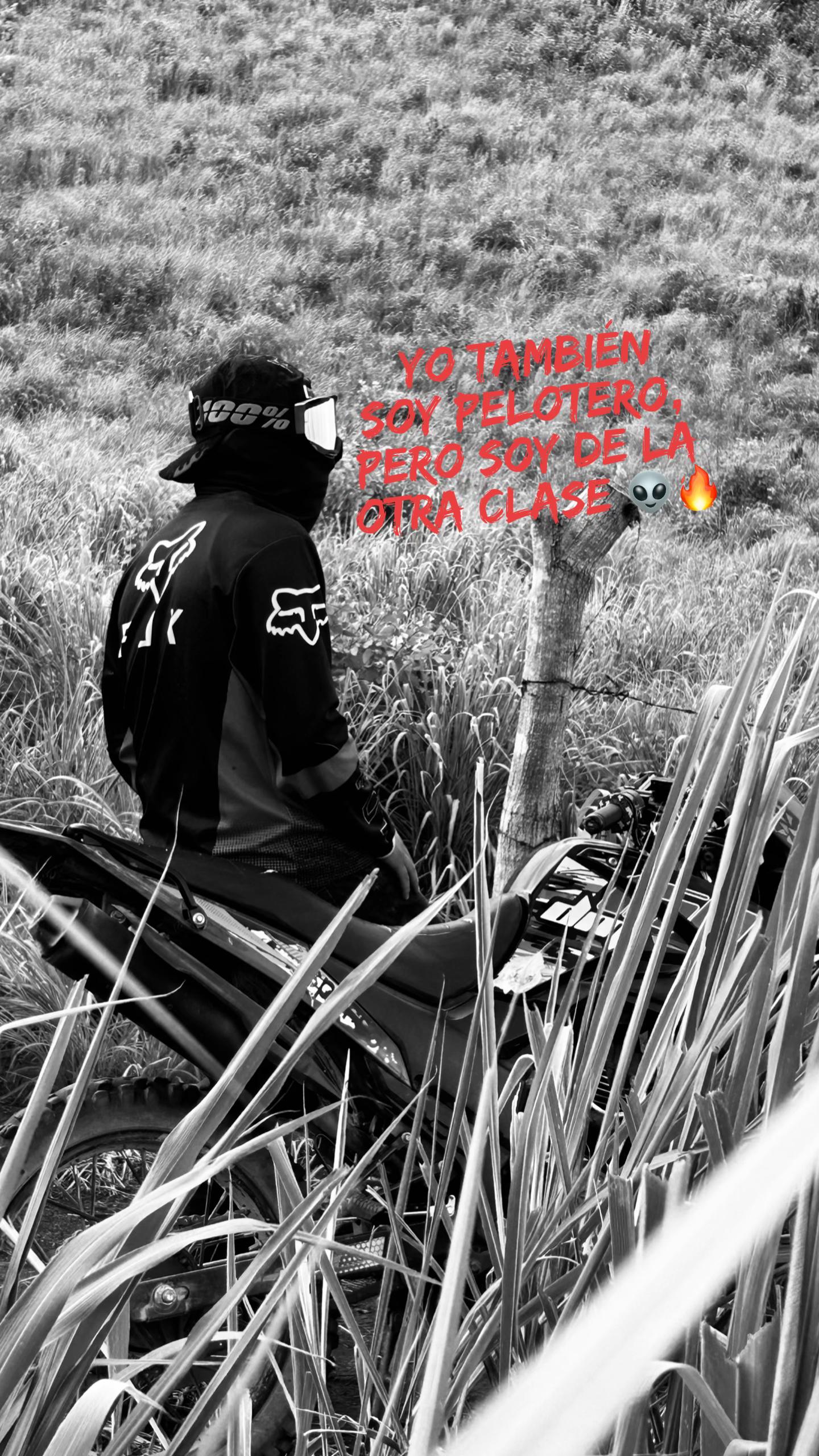 @Mmxi.🦍