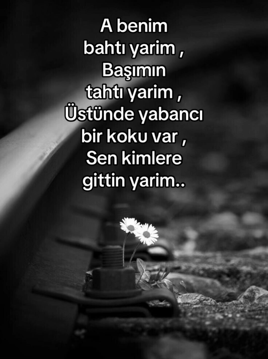 @sessiz.hislerr