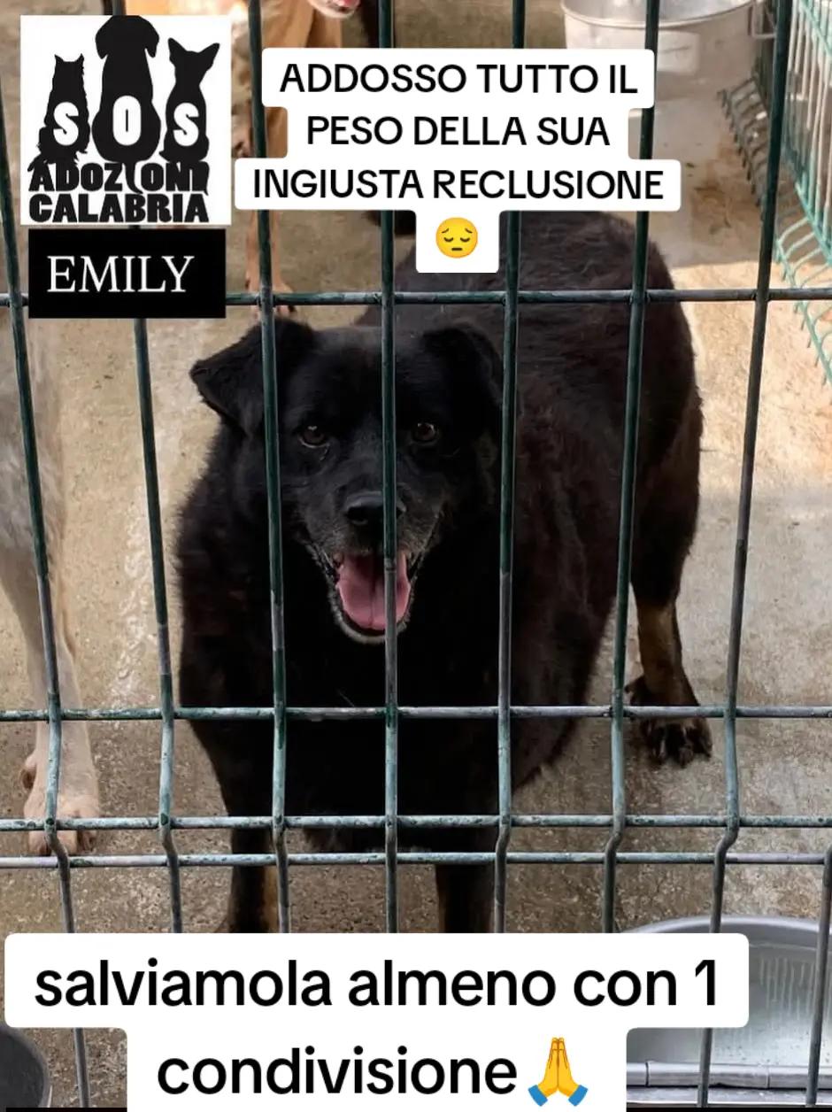 @Pina Rossignuolo